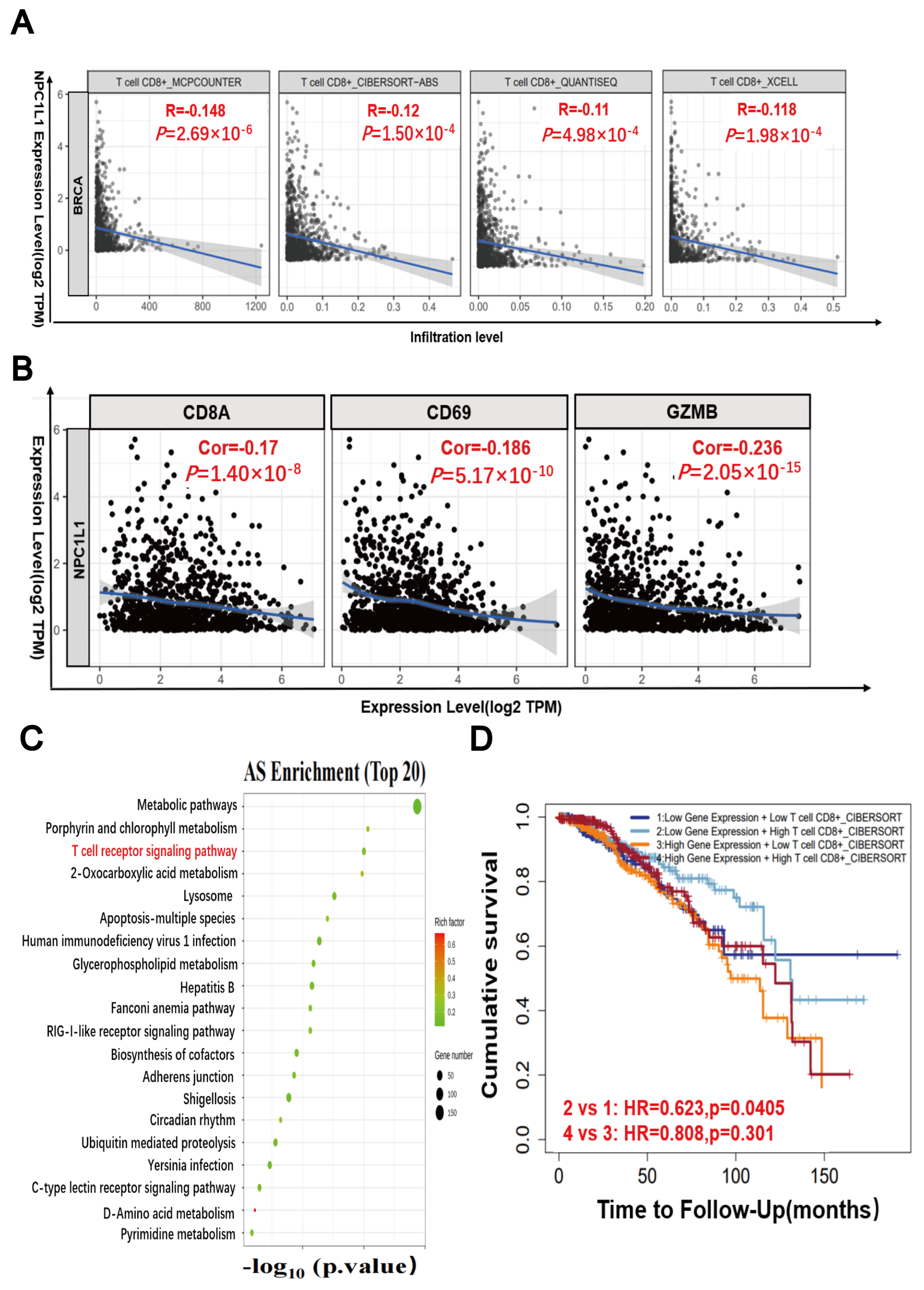 Pharmaceutics 17 00554 g006a