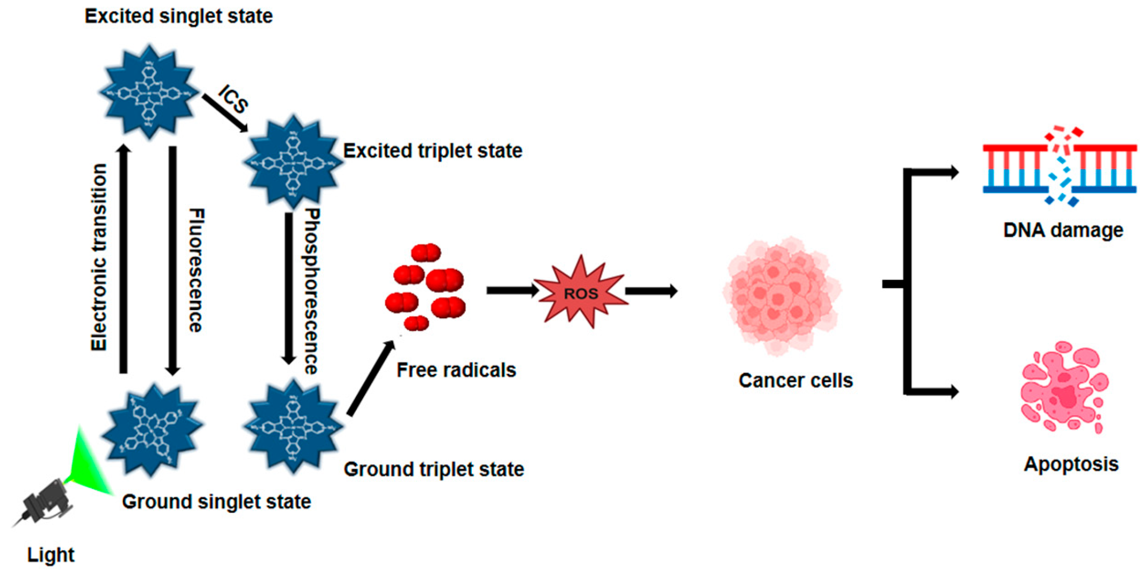 Pharmaceutics 17 00559 g001