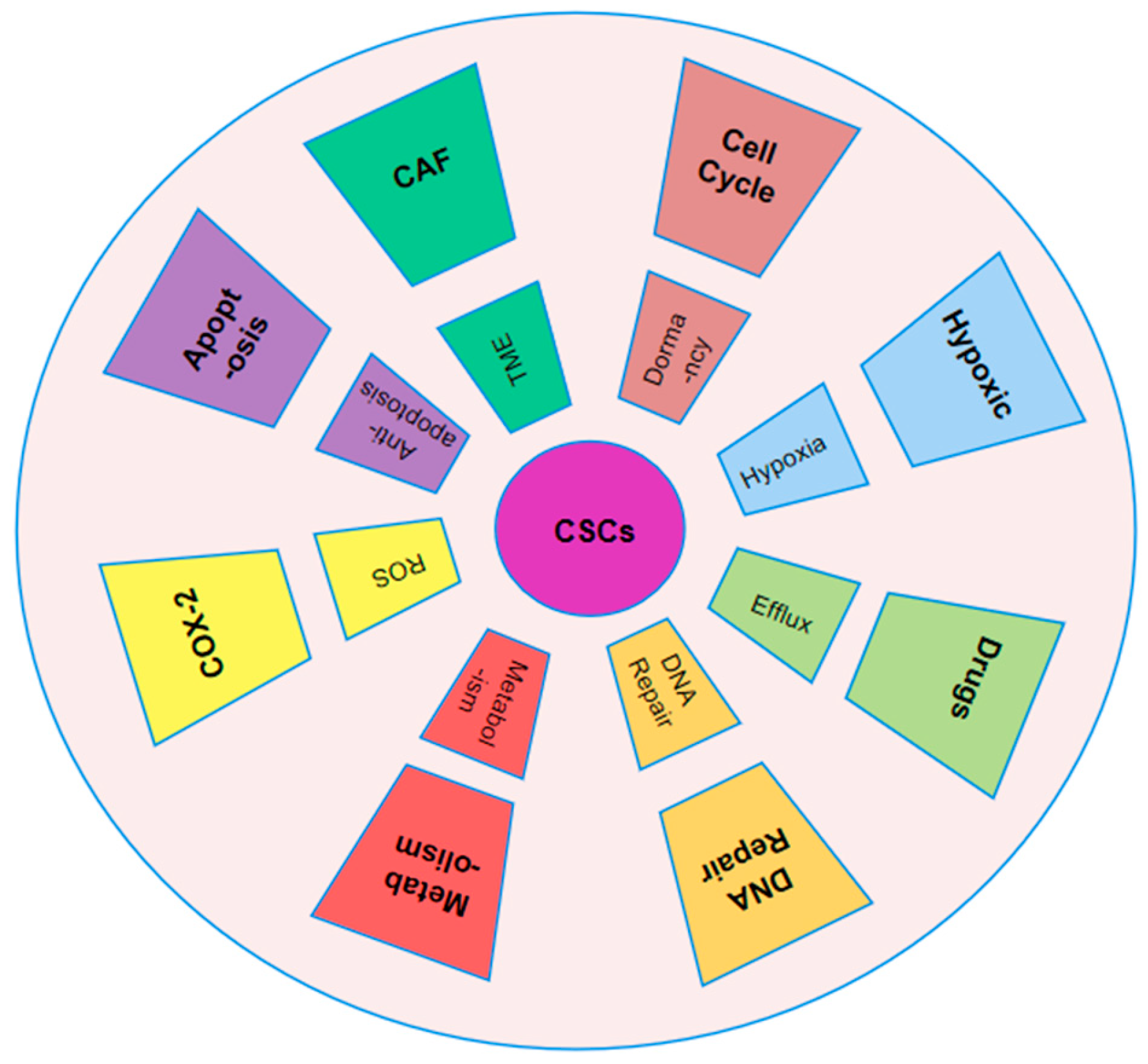 Pharmaceutics 17 00559 g002