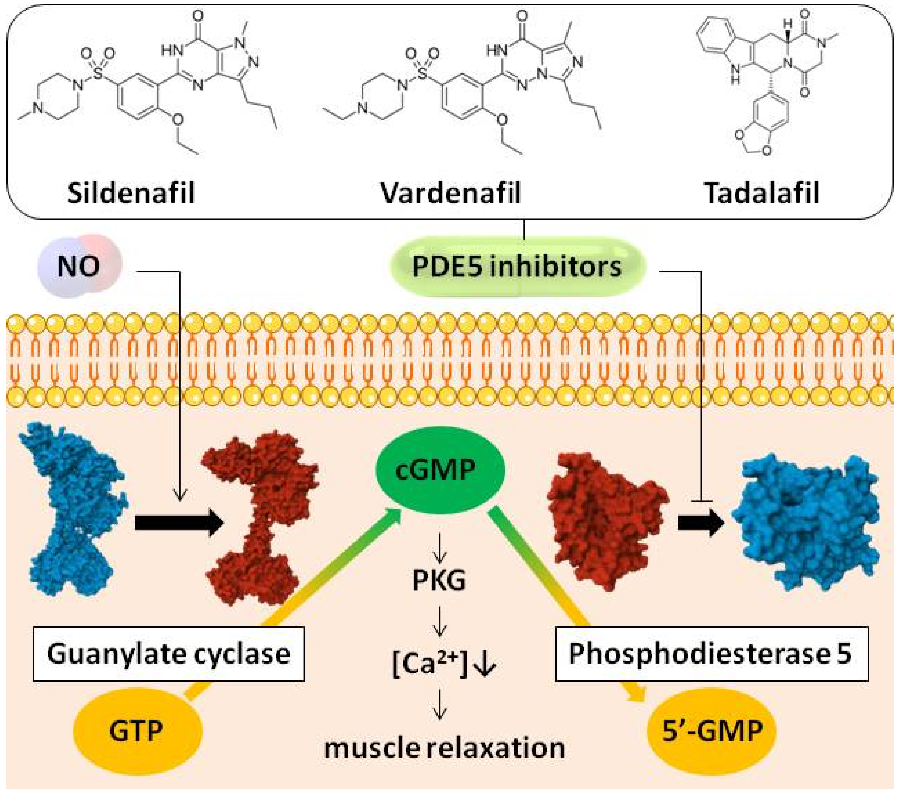 Pharmaceutics 17 00563 g001