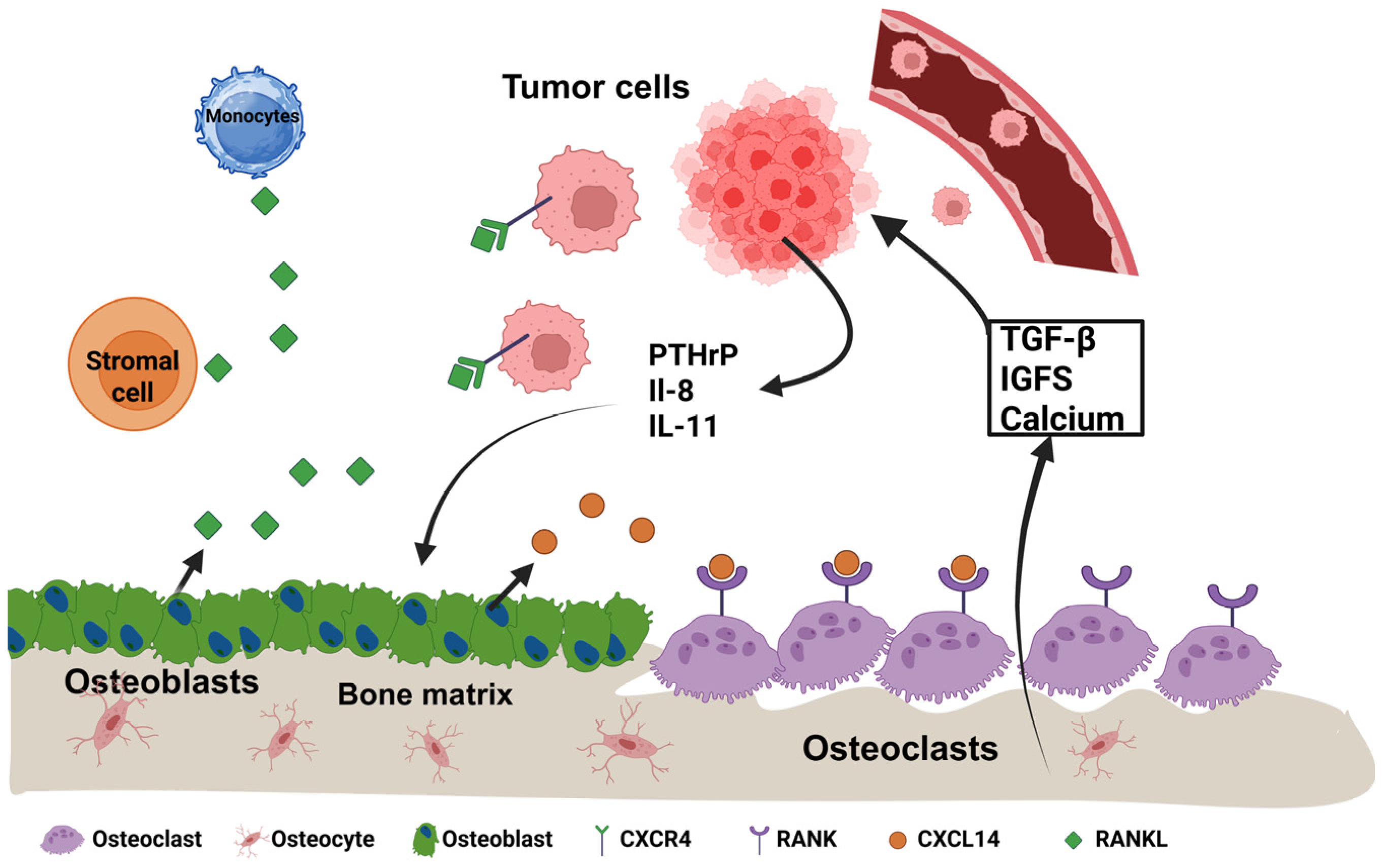 Pharmaceutics 17 00603 g001