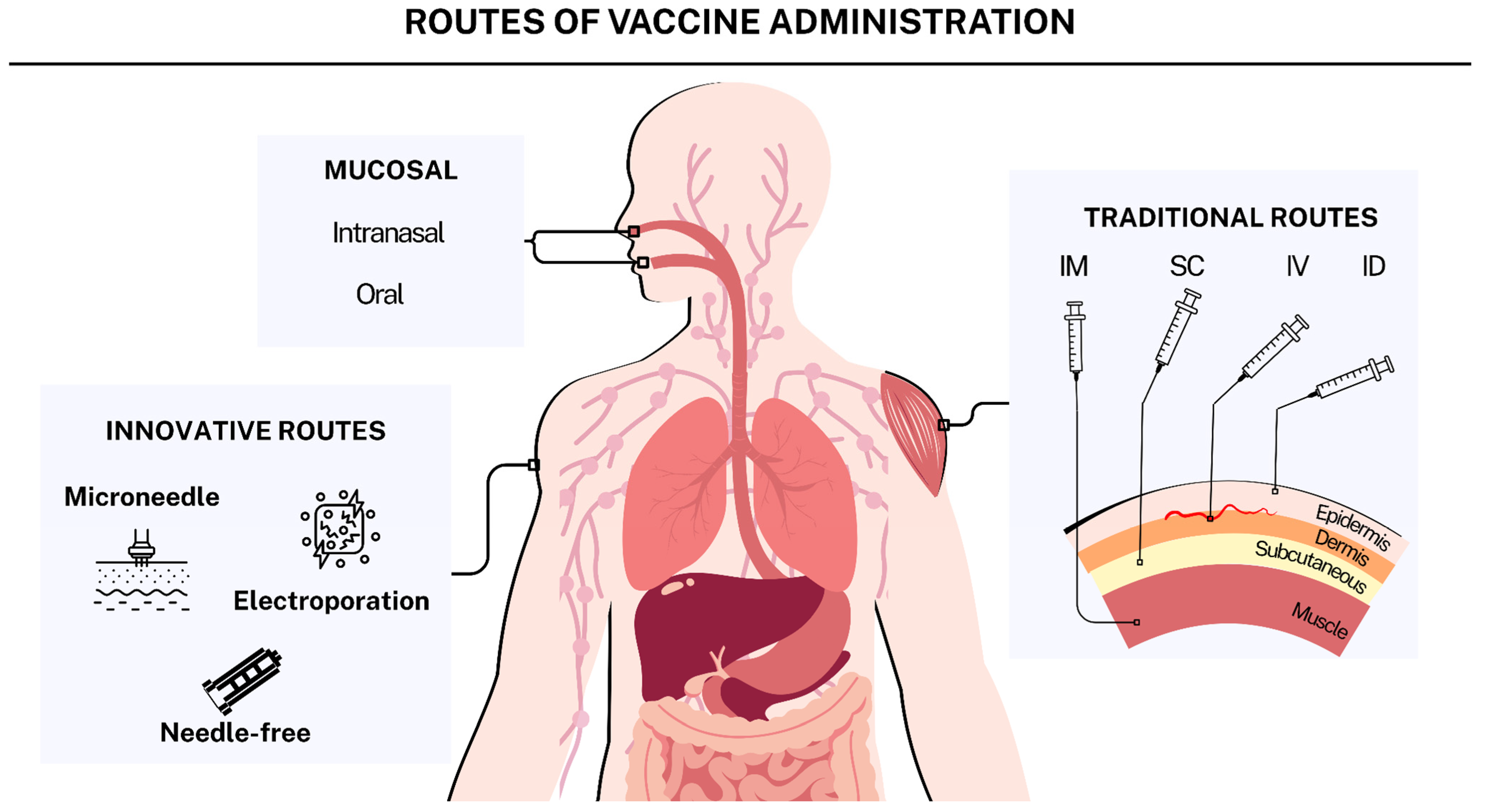 Pharmaceutics 17 00640 g004 Pharmaceutics 17 00640 g004