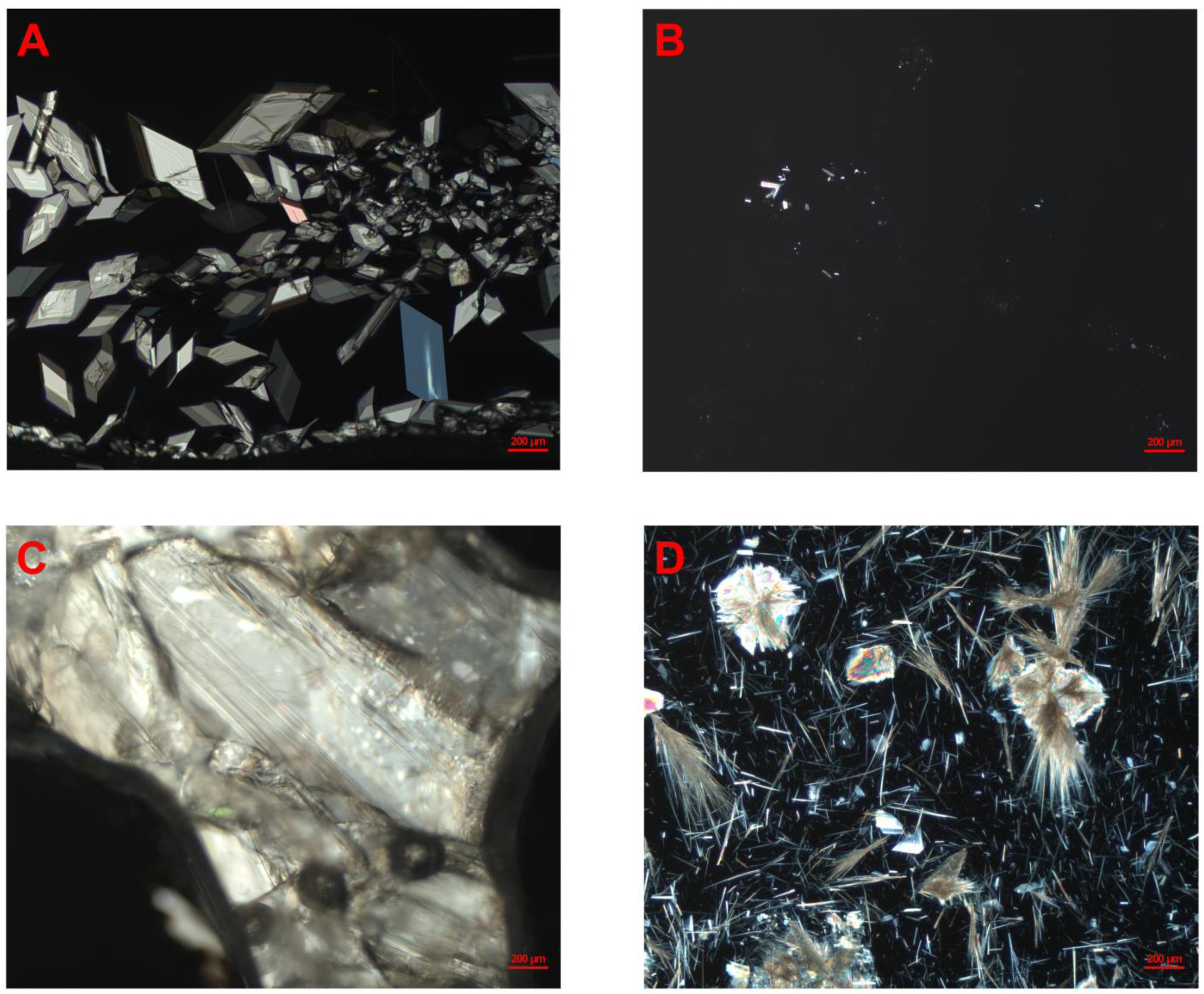 Pharmaceutics 17 00702 g001