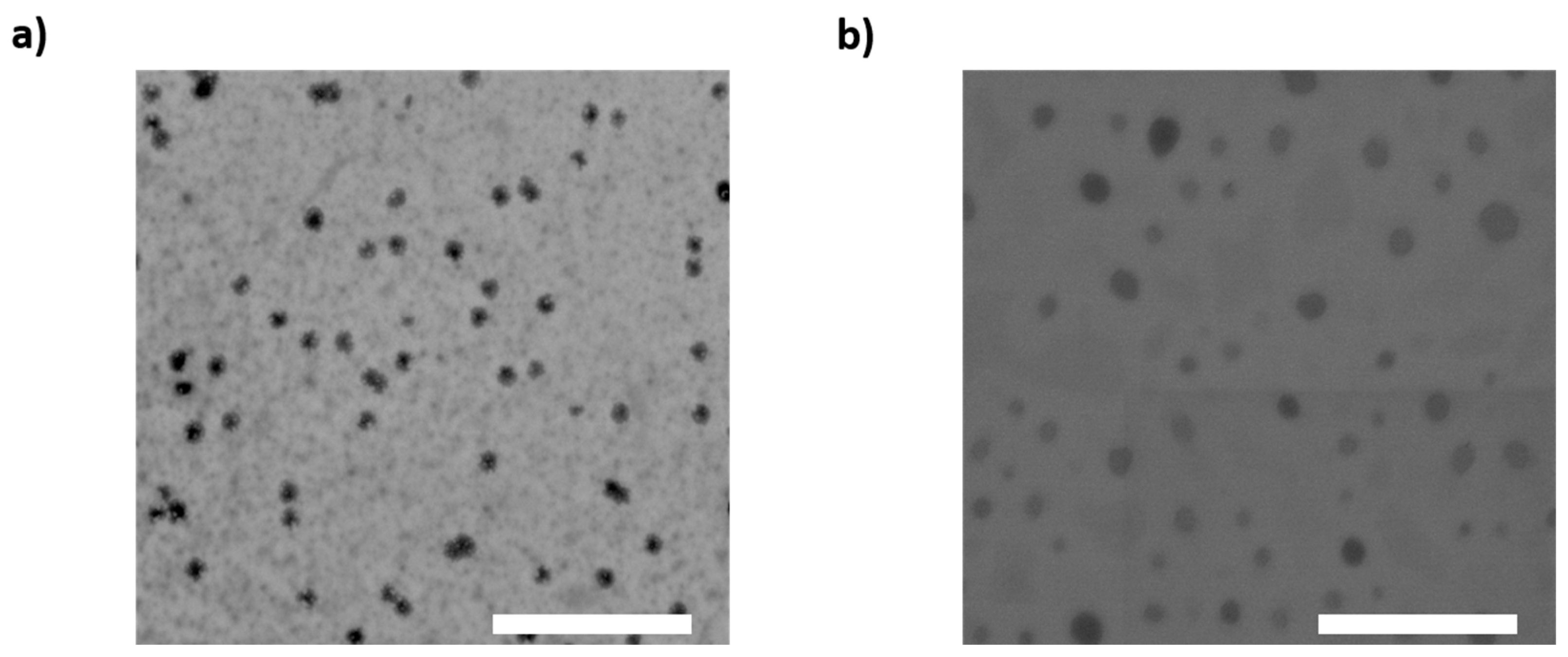 Pharmaceutics 17 00799 g002