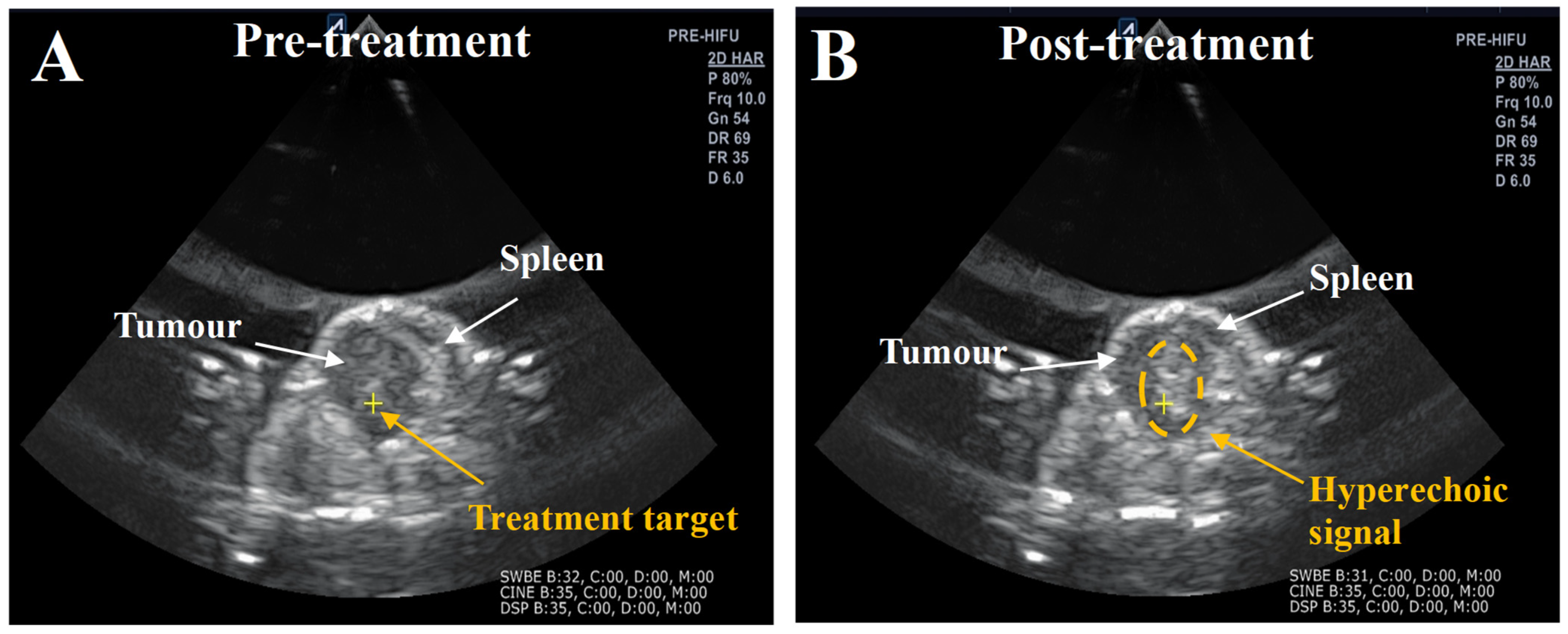 Pharmaceutics 17 00949 g001 Pharmaceutics 17 00949 g001