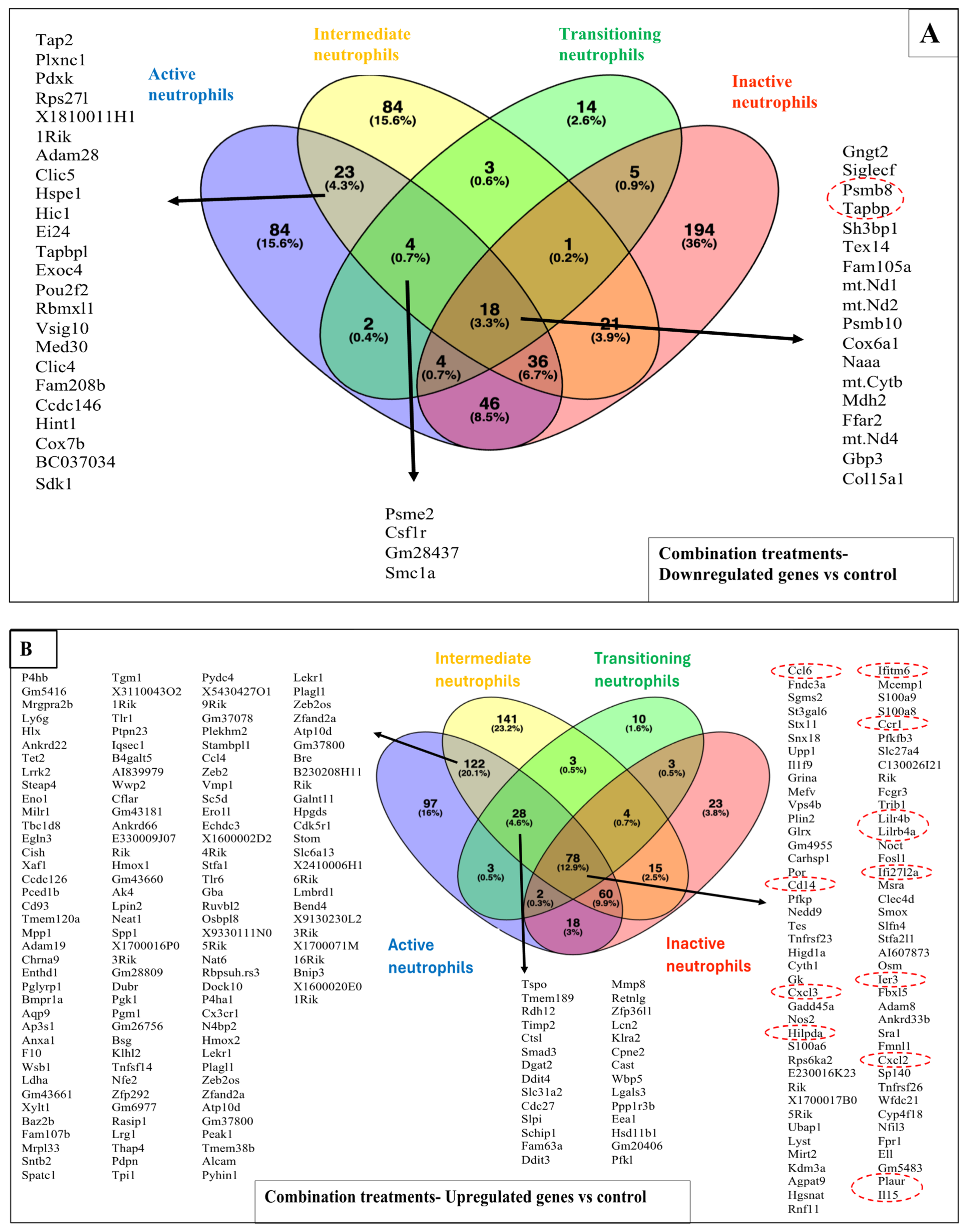 Pharmaceutics 17 00949 g006a Pharmaceutics 17 00949 g006a