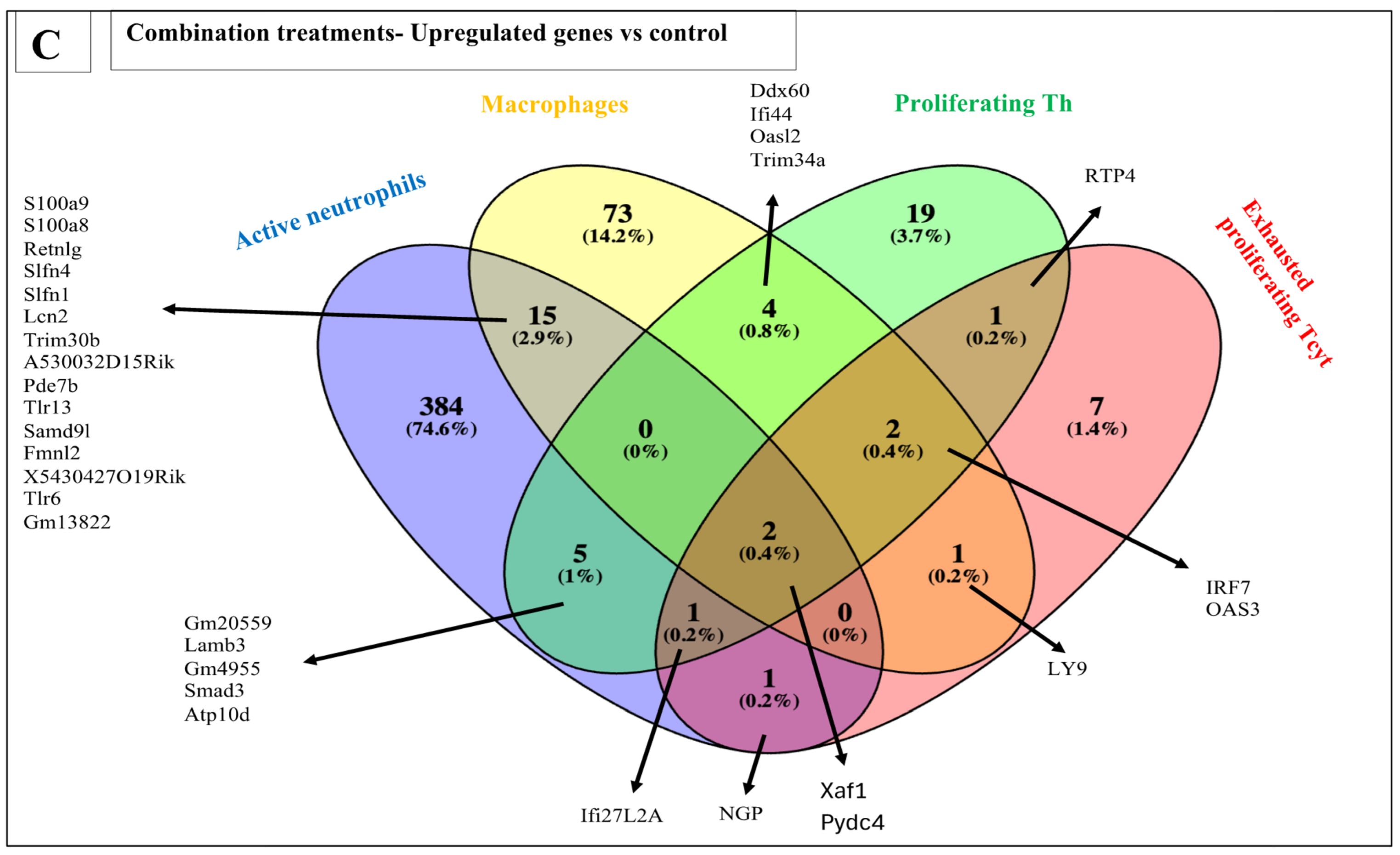 Pharmaceutics 17 00949 g006b Pharmaceutics 17 00949 g006b