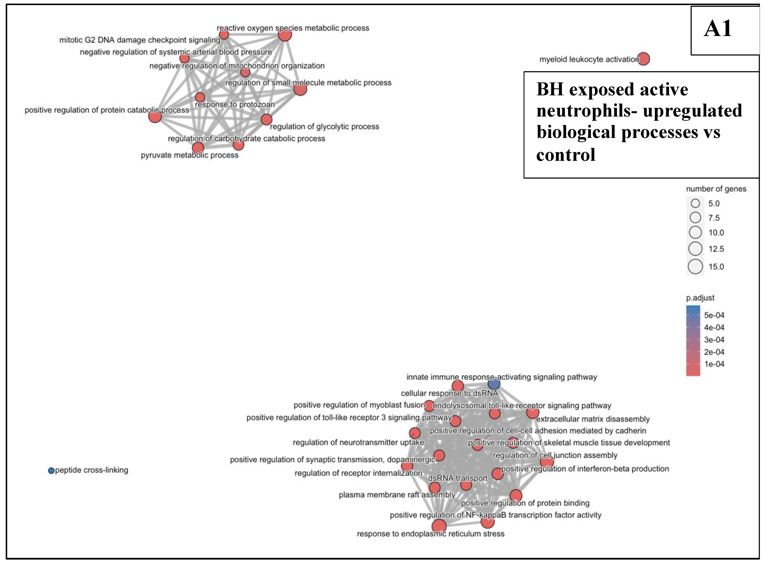 Pharmaceutics 17 00949 g007a Pharmaceutics 17 00949 g007a
