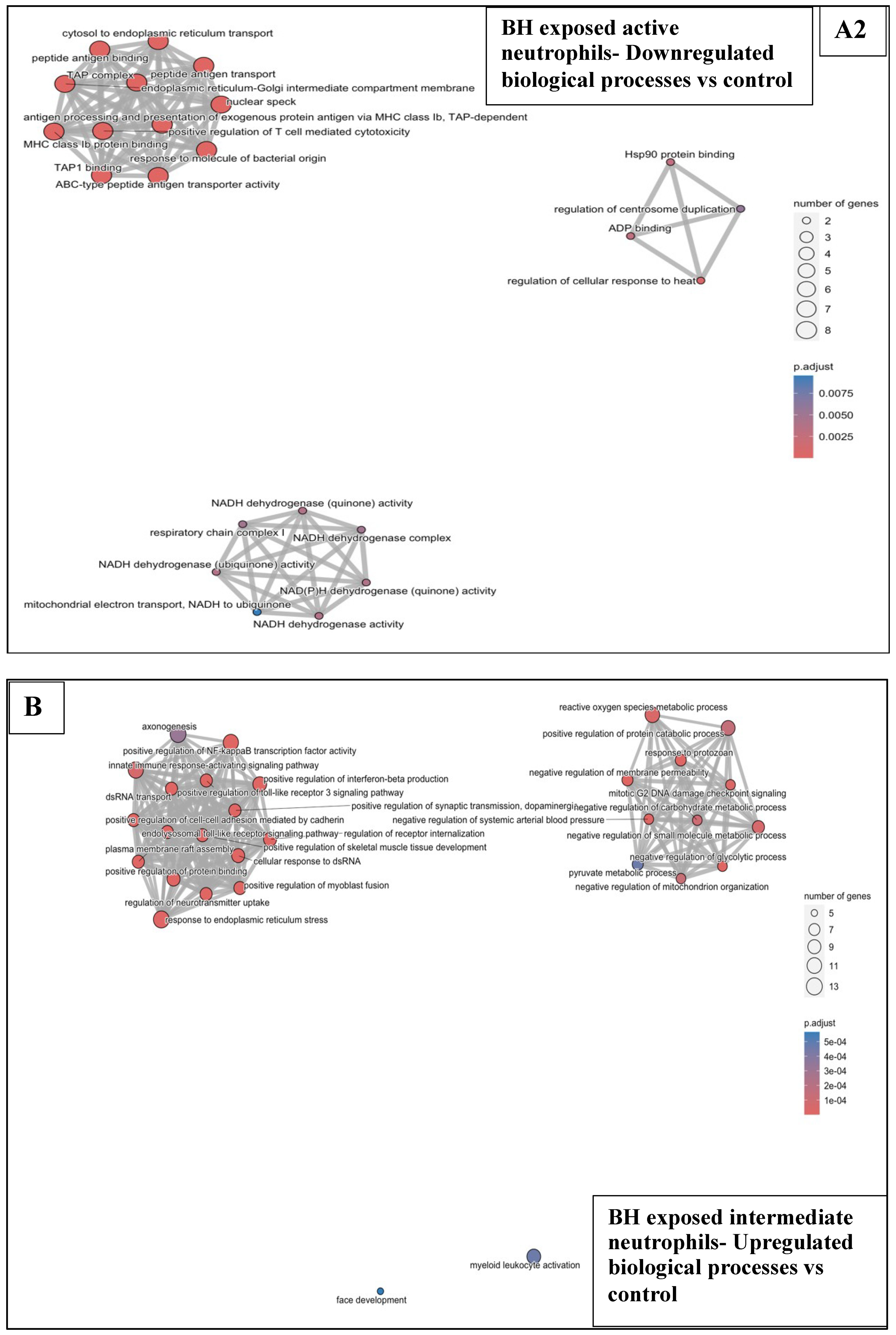 Pharmaceutics 17 00949 g007b Pharmaceutics 17 00949 g007b