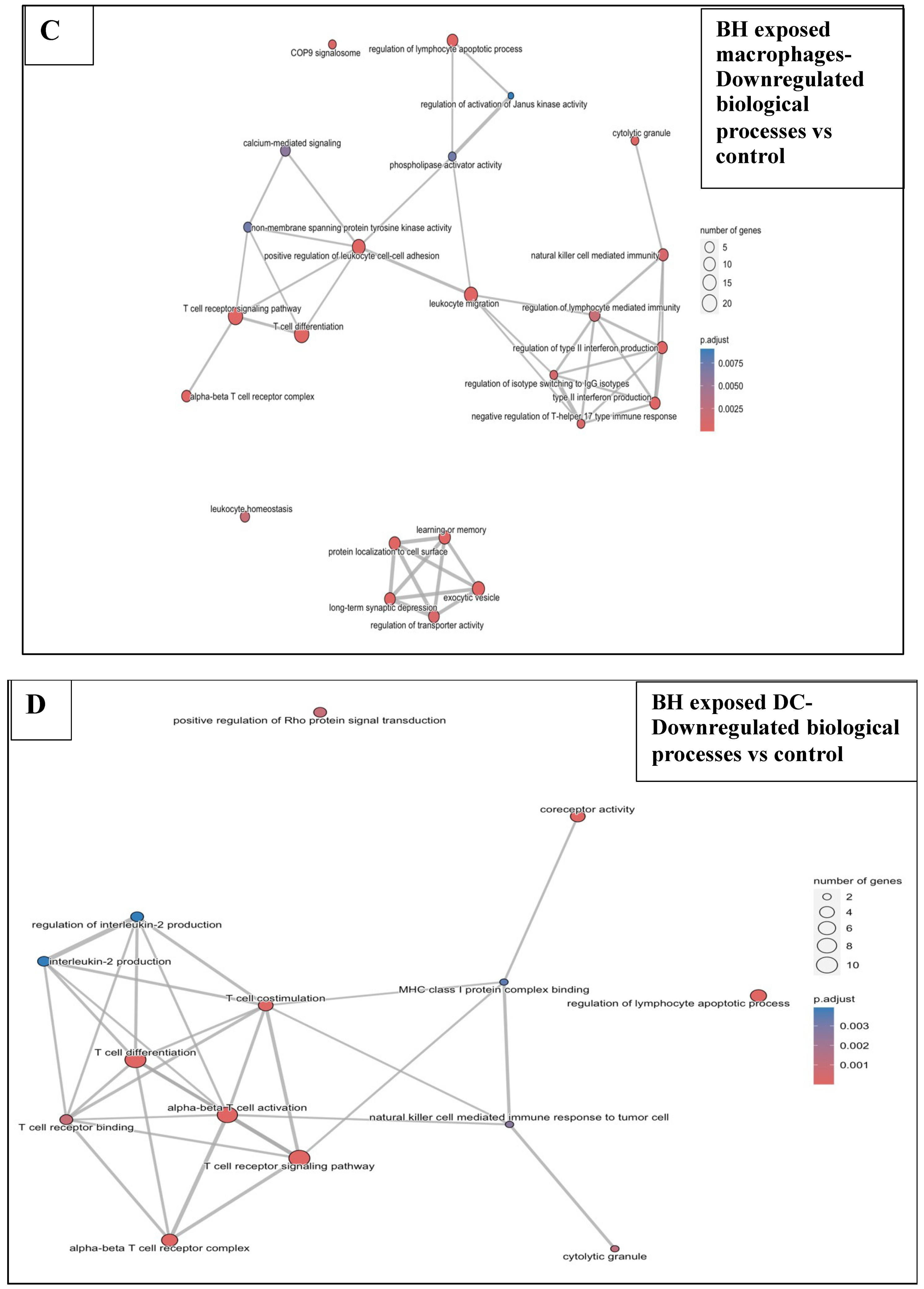 Pharmaceutics 17 00949 g007c Pharmaceutics 17 00949 g007c