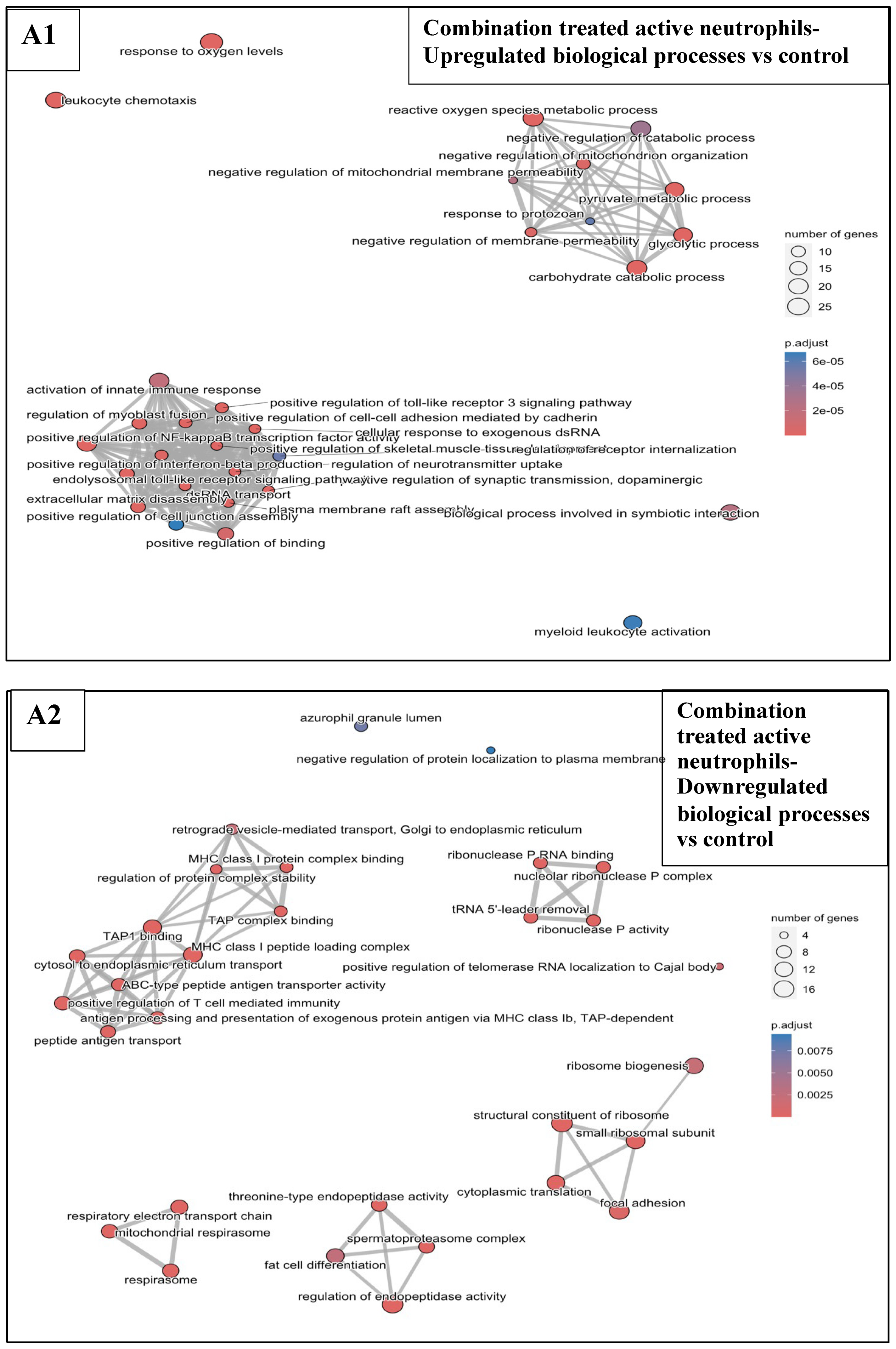 Pharmaceutics 17 00949 g008a Pharmaceutics 17 00949 g008a
