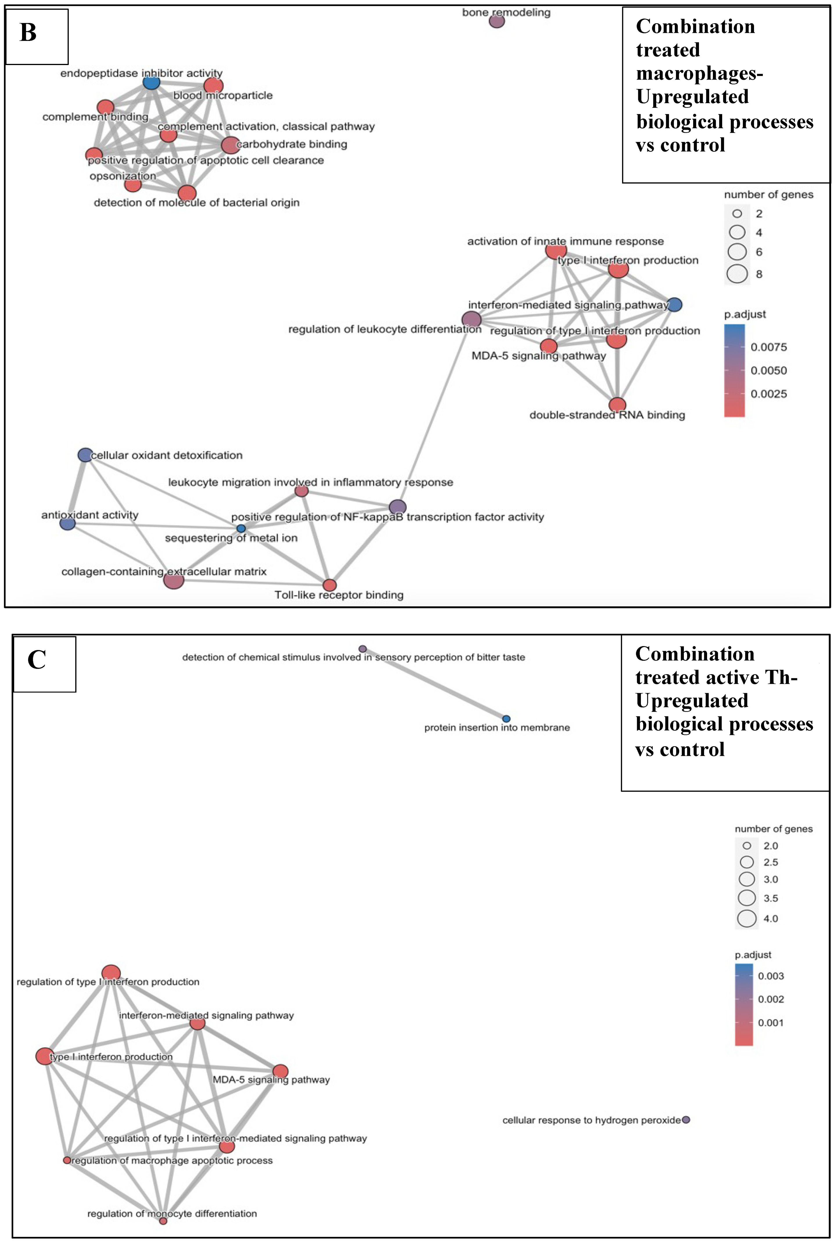 Pharmaceutics 17 00949 g008b Pharmaceutics 17 00949 g008b