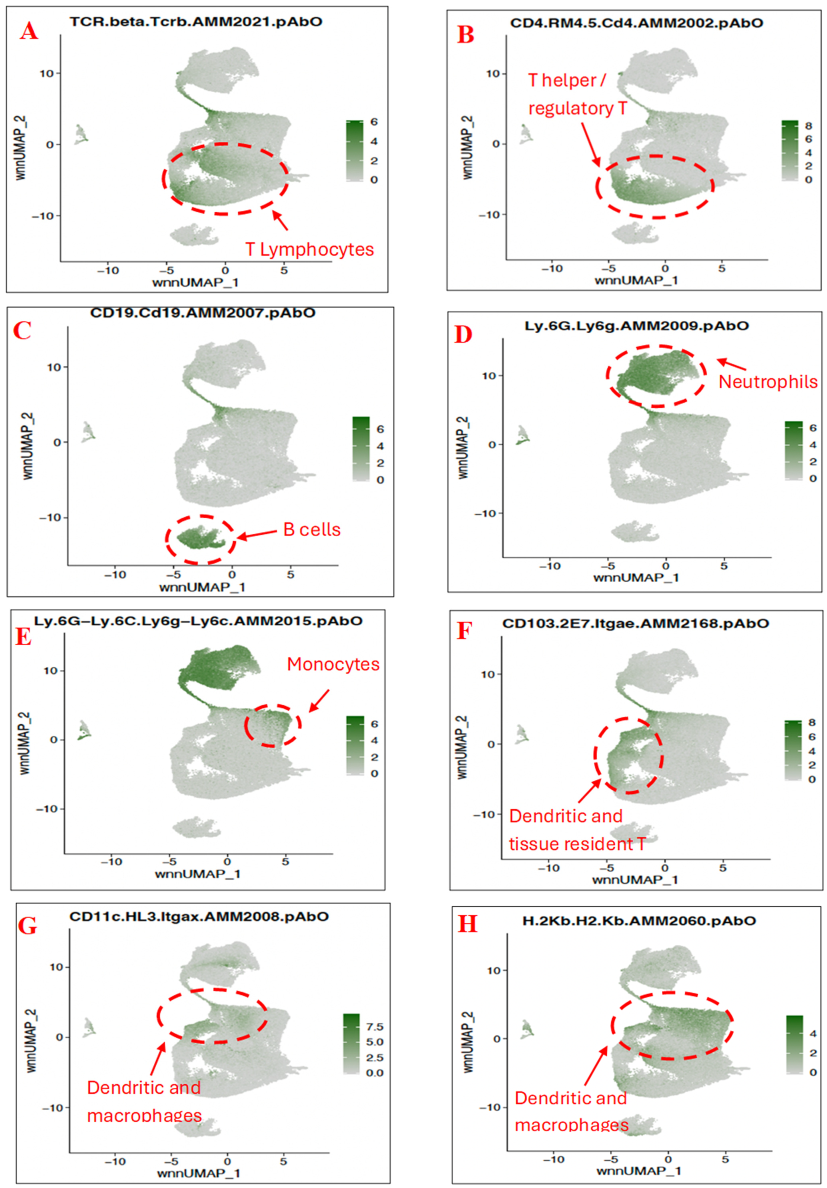 Pharmaceutics 17 00949 g0a2a Pharmaceutics 17 00949 g0a2a