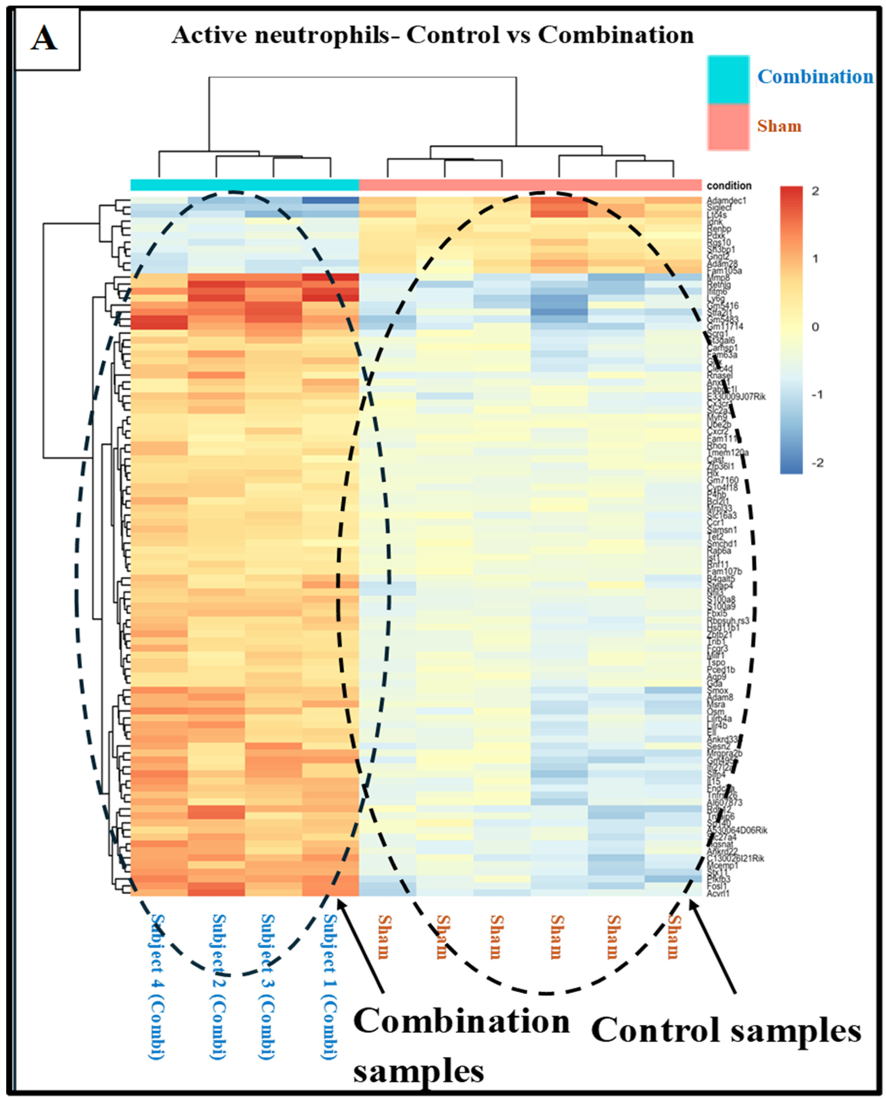 Pharmaceutics 17 00949 g0a5a Pharmaceutics 17 00949 g0a5a