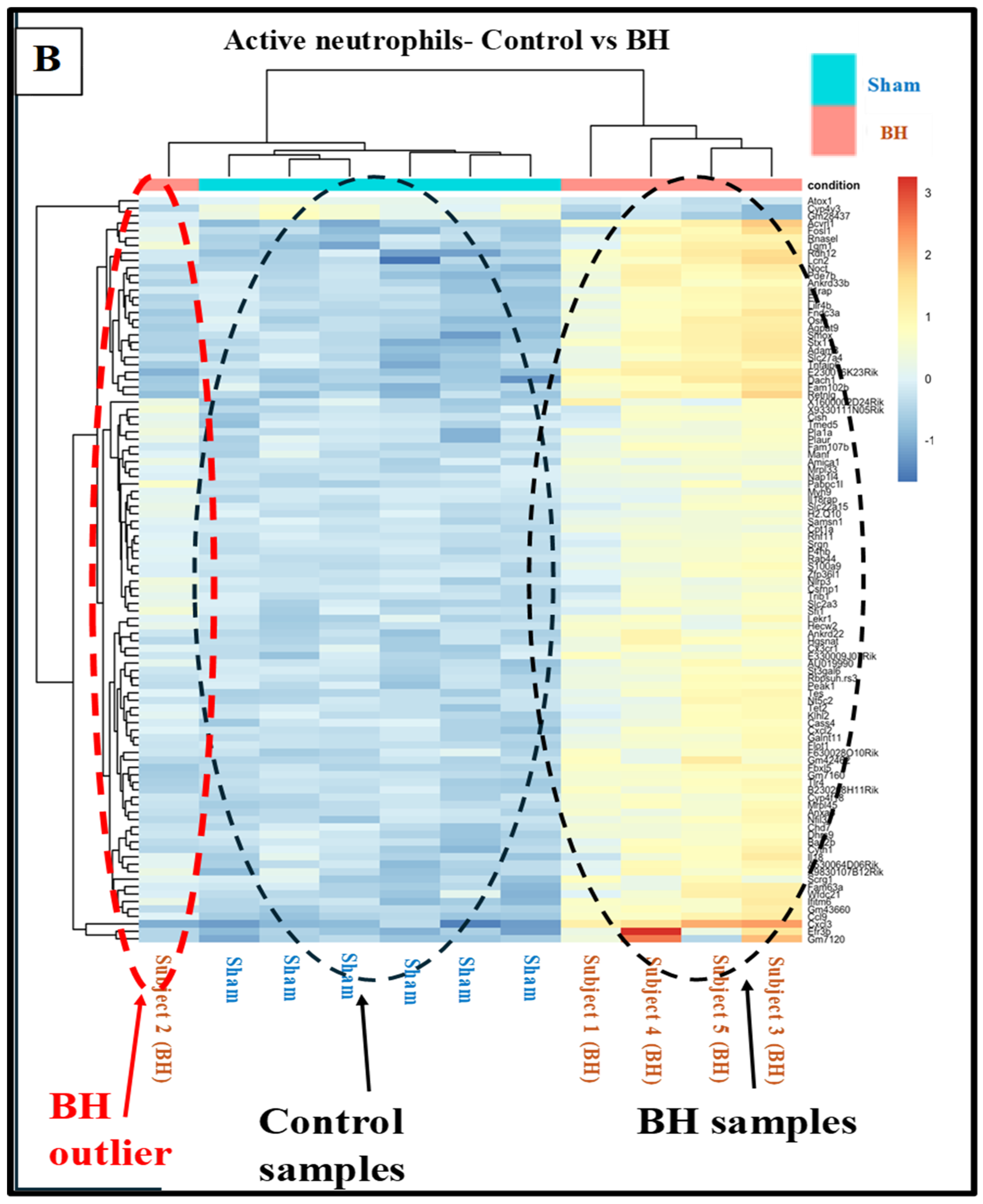 Pharmaceutics 17 00949 g0a5b Pharmaceutics 17 00949 g0a5b