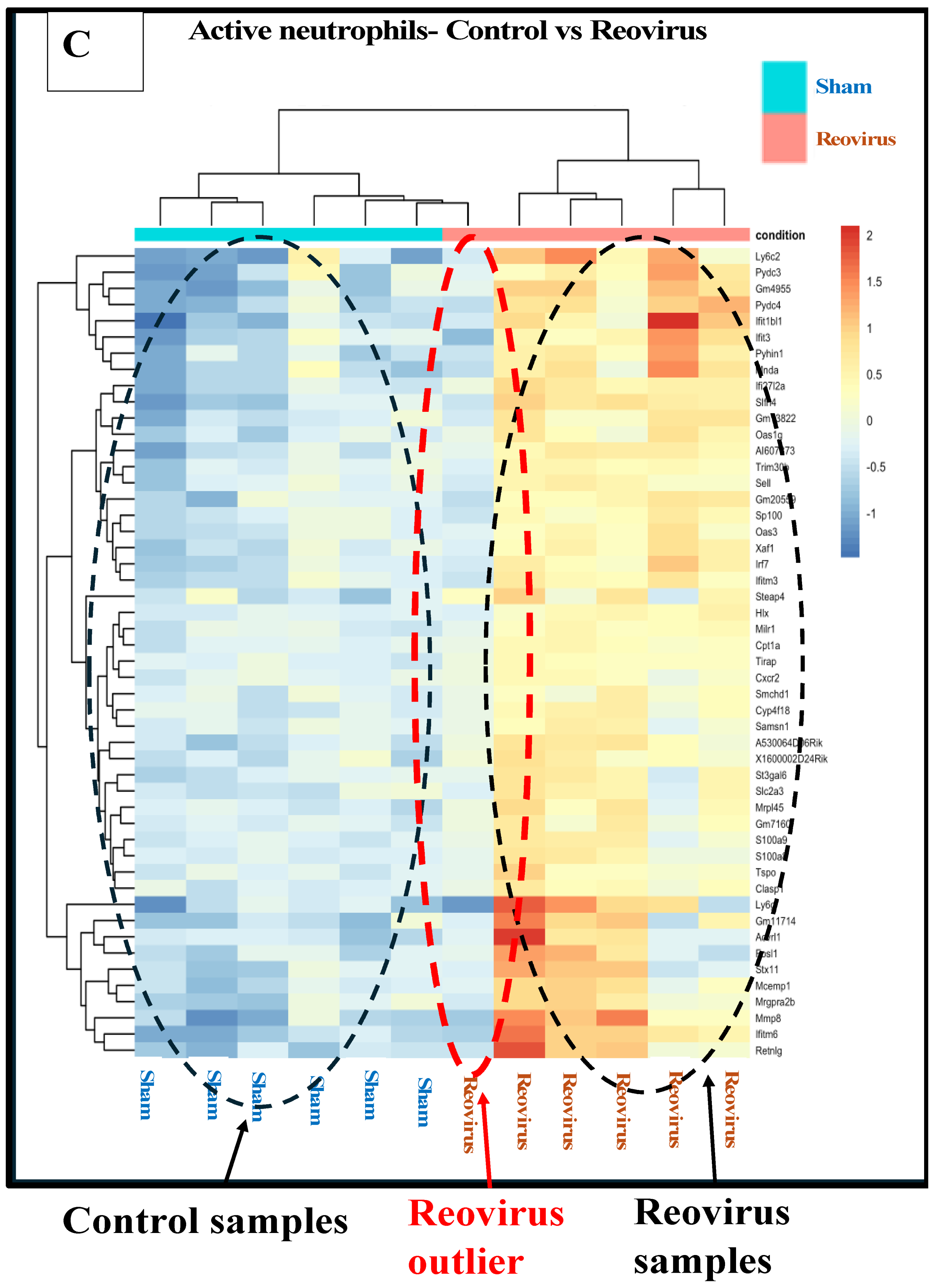 Pharmaceutics 17 00949 g0a5c Pharmaceutics 17 00949 g0a5c