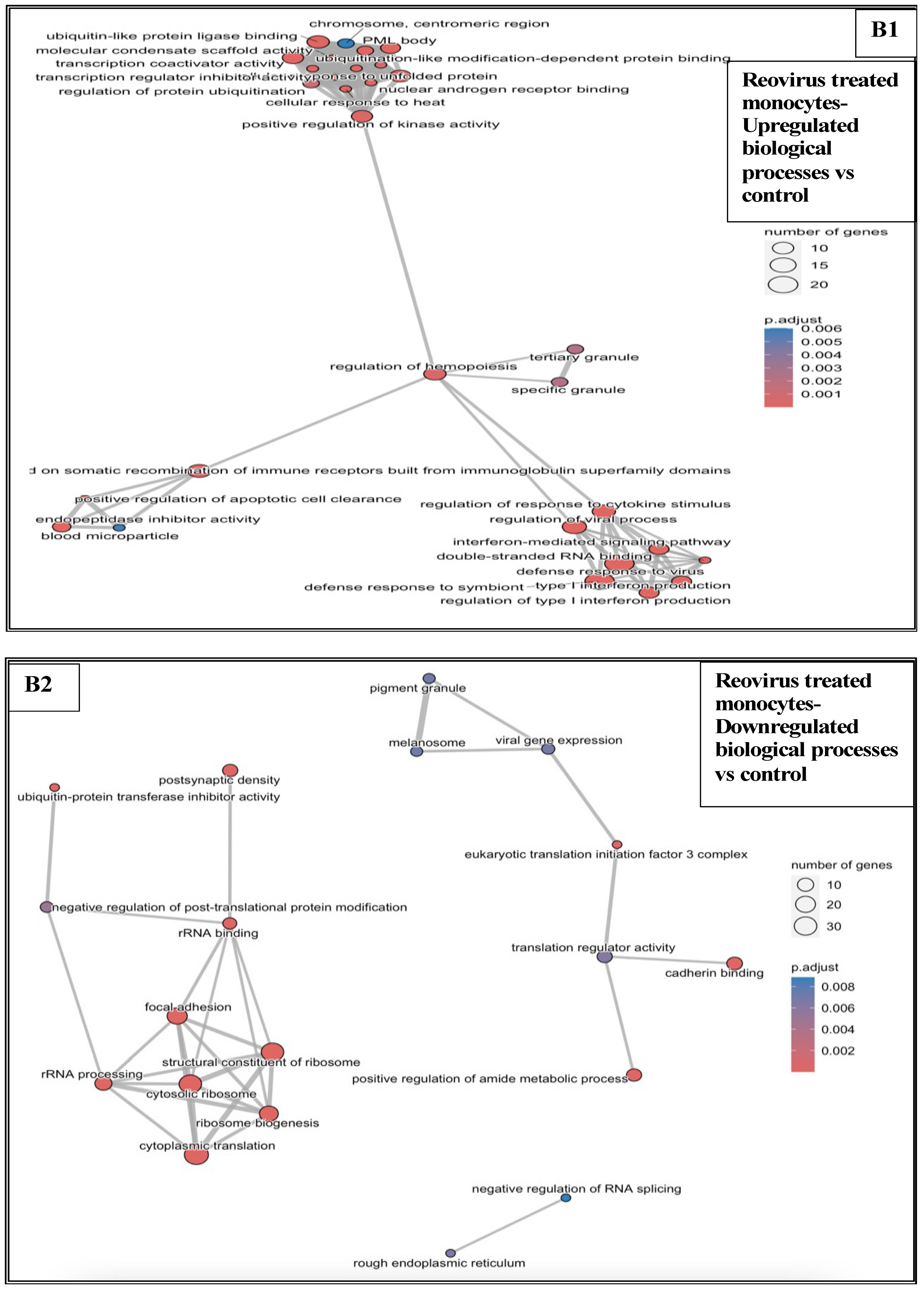 Pharmaceutics 17 00949 g0a7b Pharmaceutics 17 00949 g0a7b