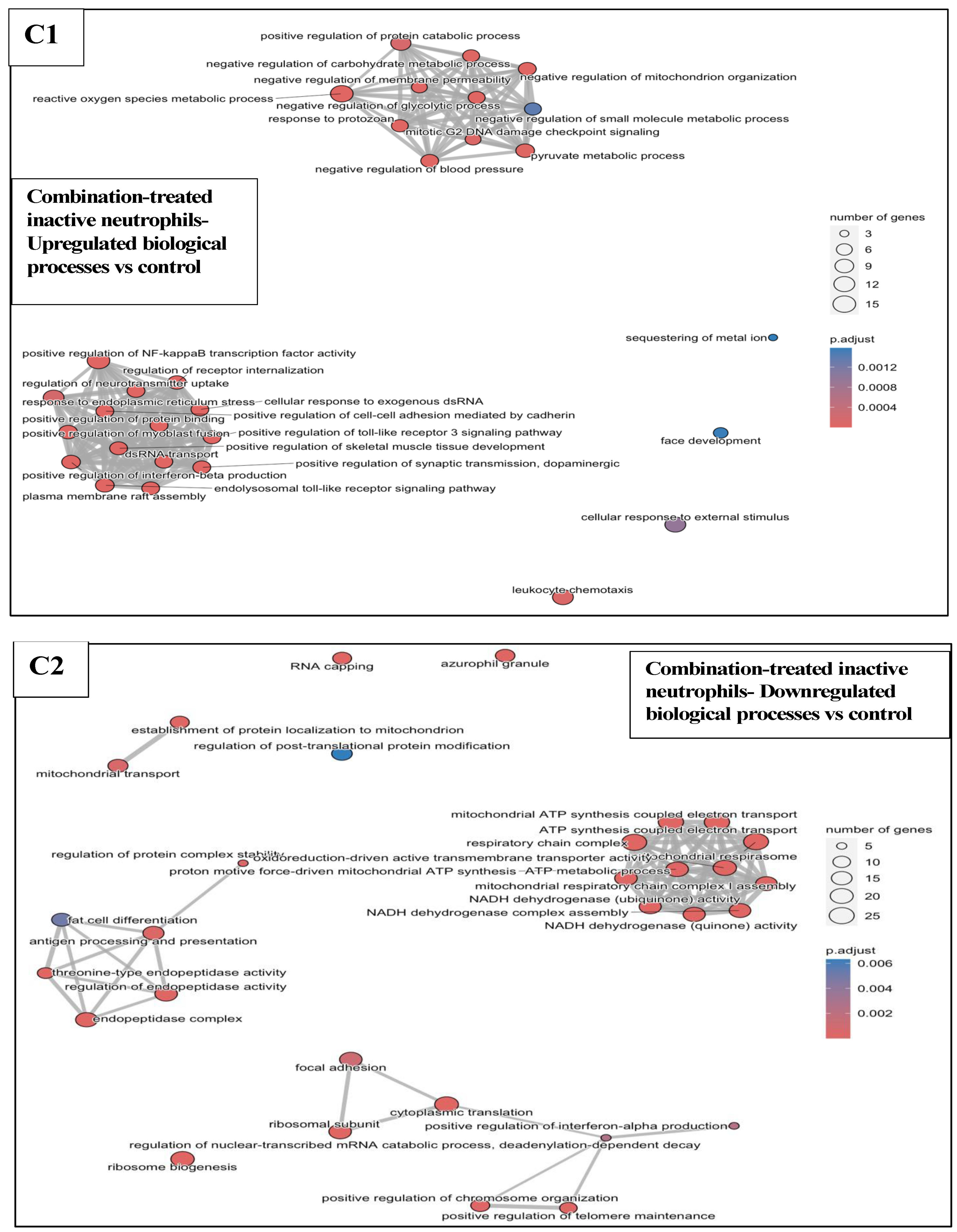 Pharmaceutics 17 00949 g0a8c Pharmaceutics 17 00949 g0a8c