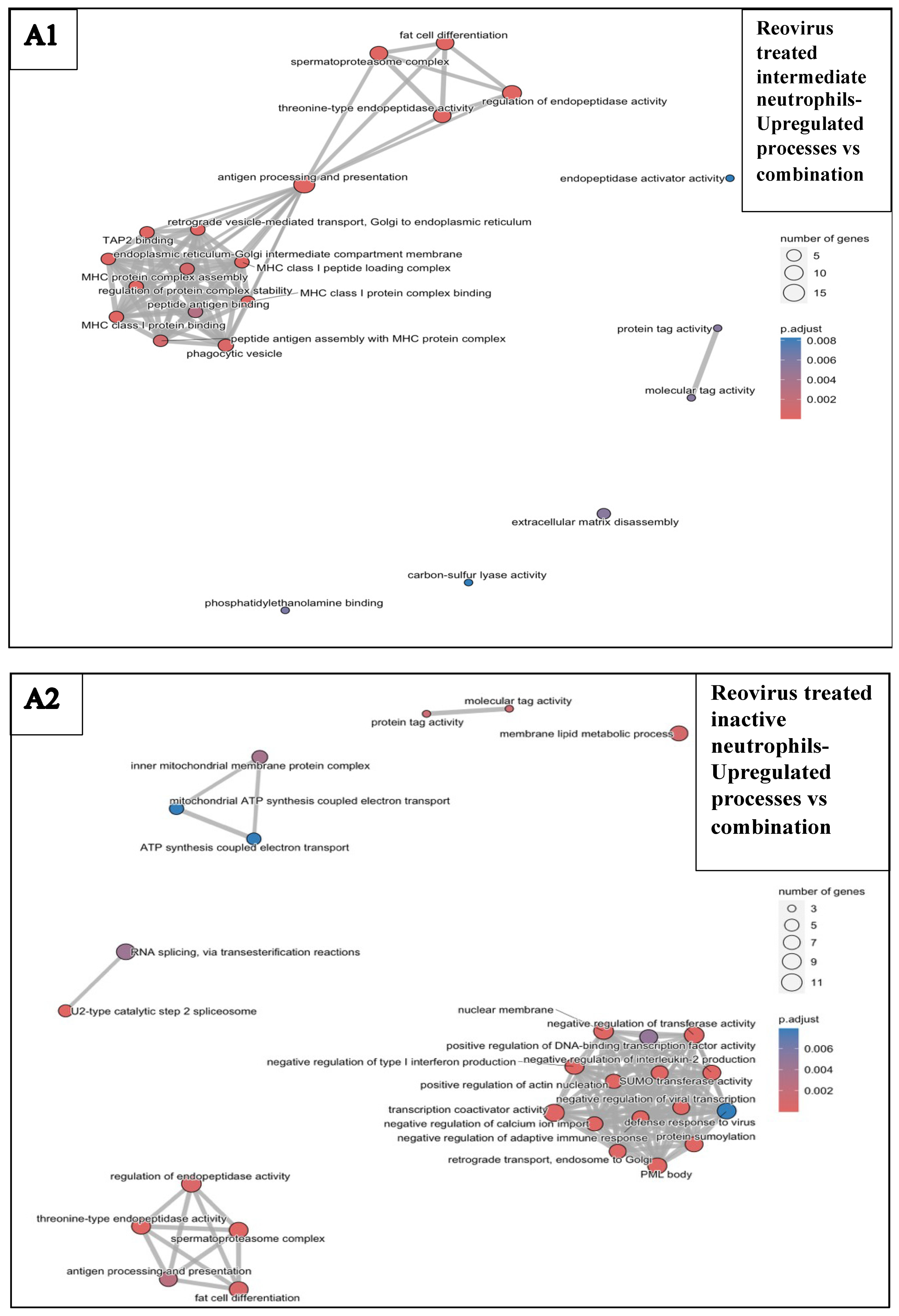 Pharmaceutics 17 00949 g0a9a Pharmaceutics 17 00949 g0a9a