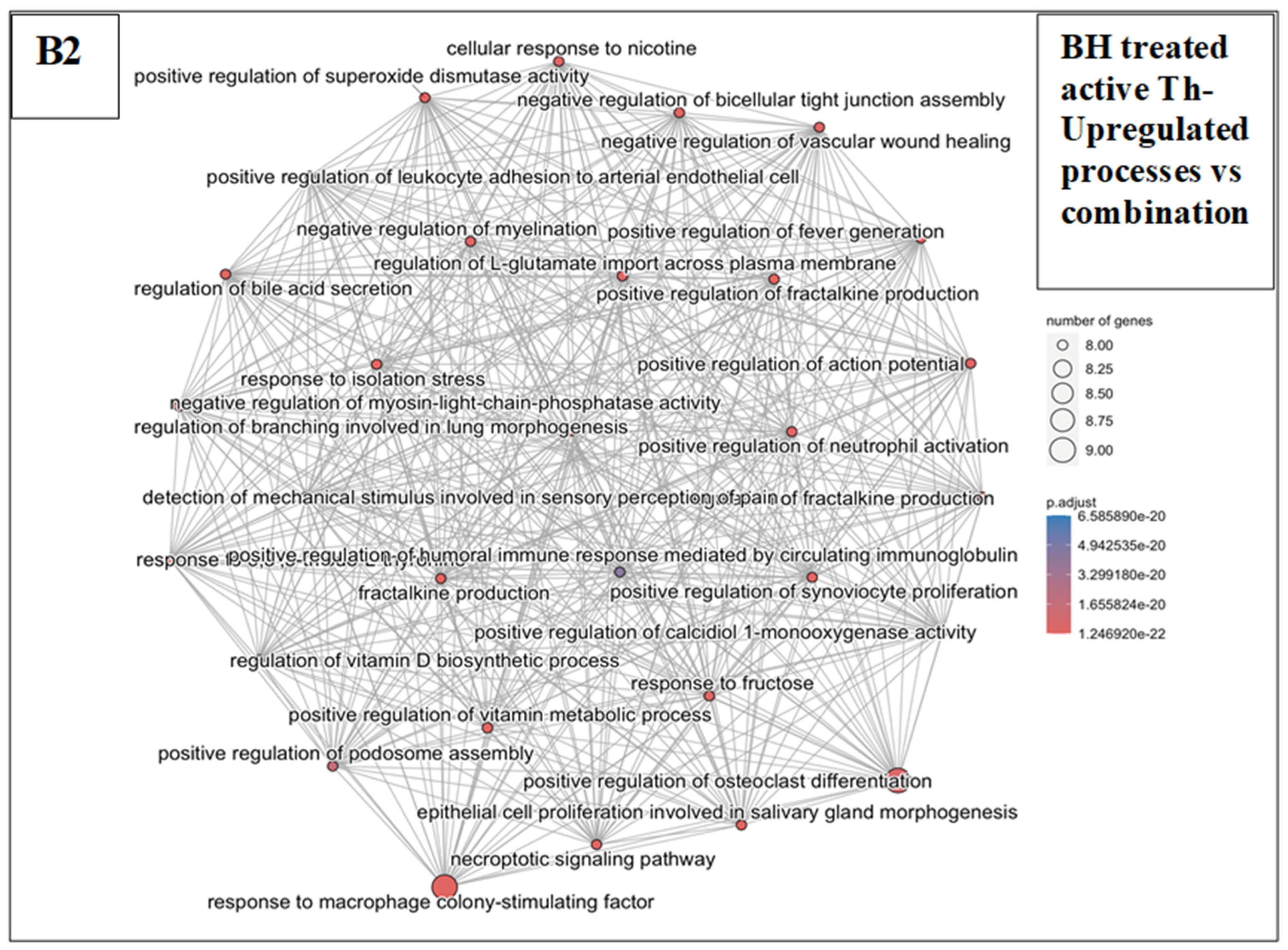 Pharmaceutics 17 00949 g0a9c Pharmaceutics 17 00949 g0a9c