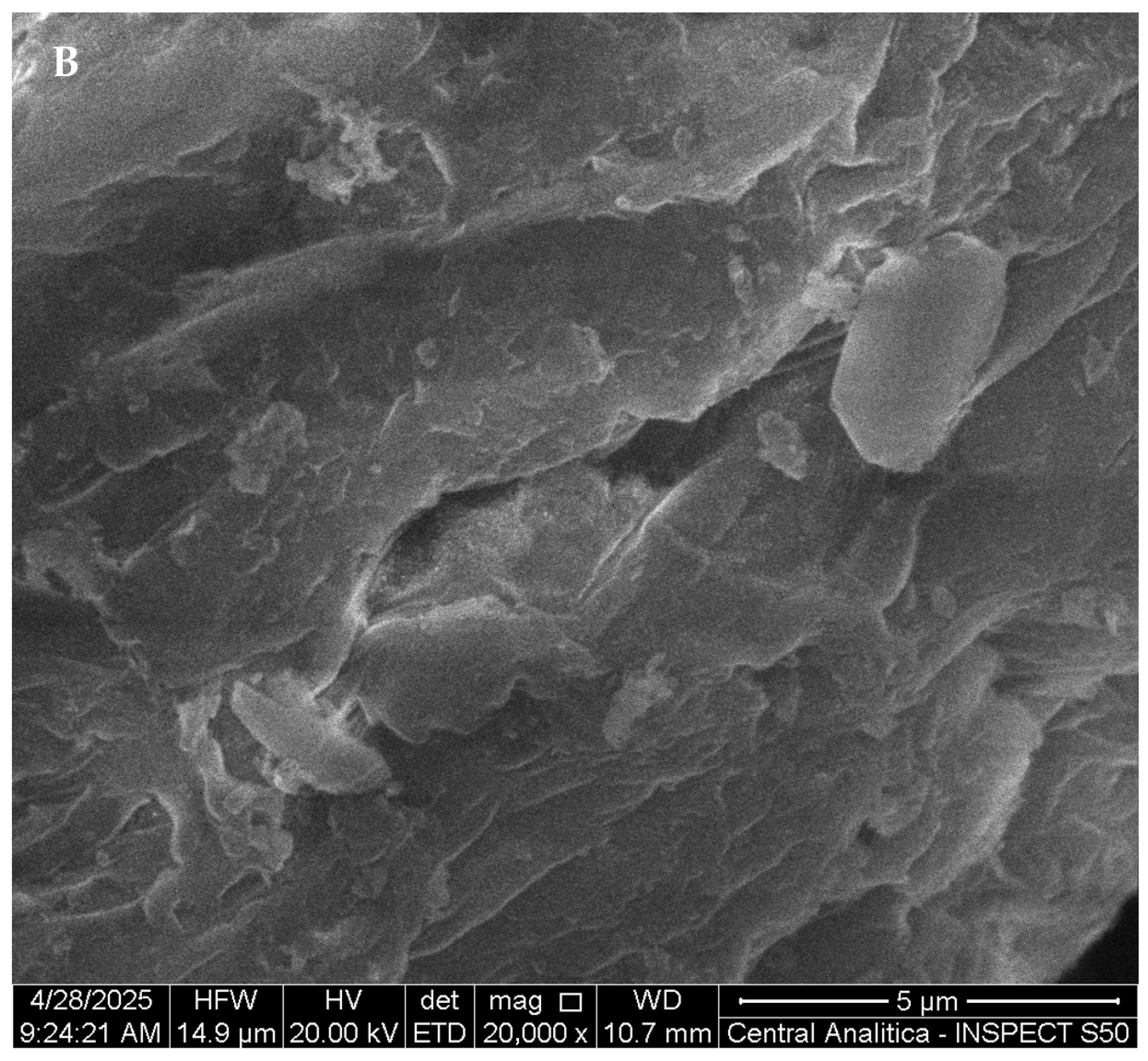 Pharmaceutics 17 00981 g006b