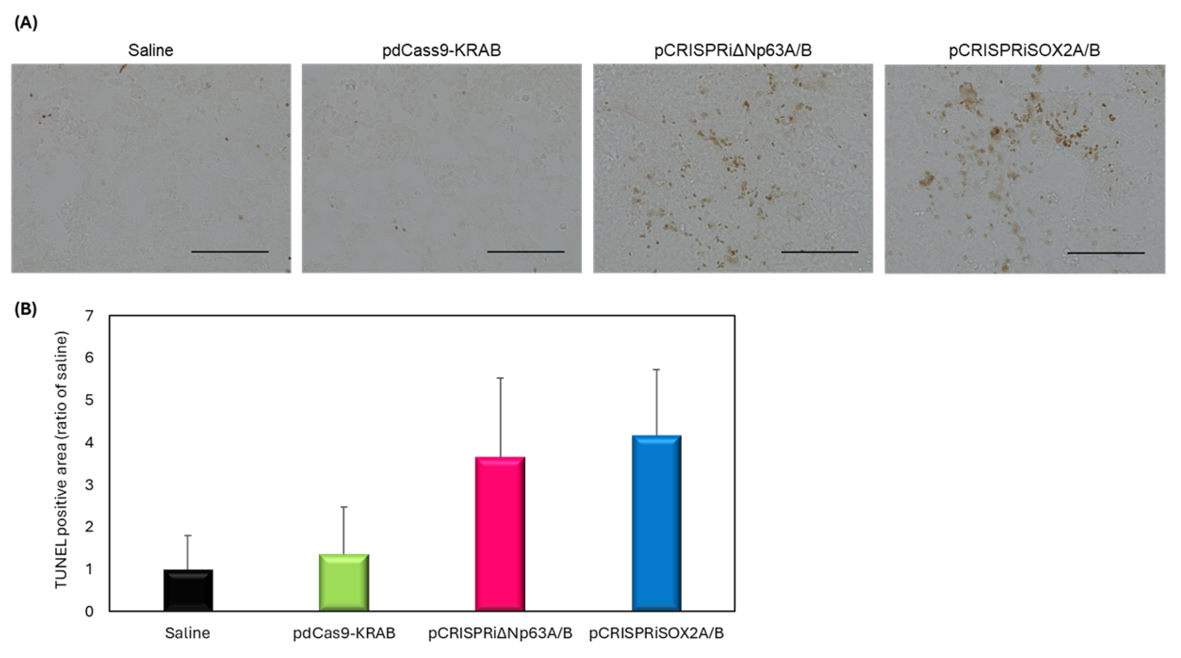 Pharmaceutics 17 01053 g005 Pharmaceutics 17 01053 g005