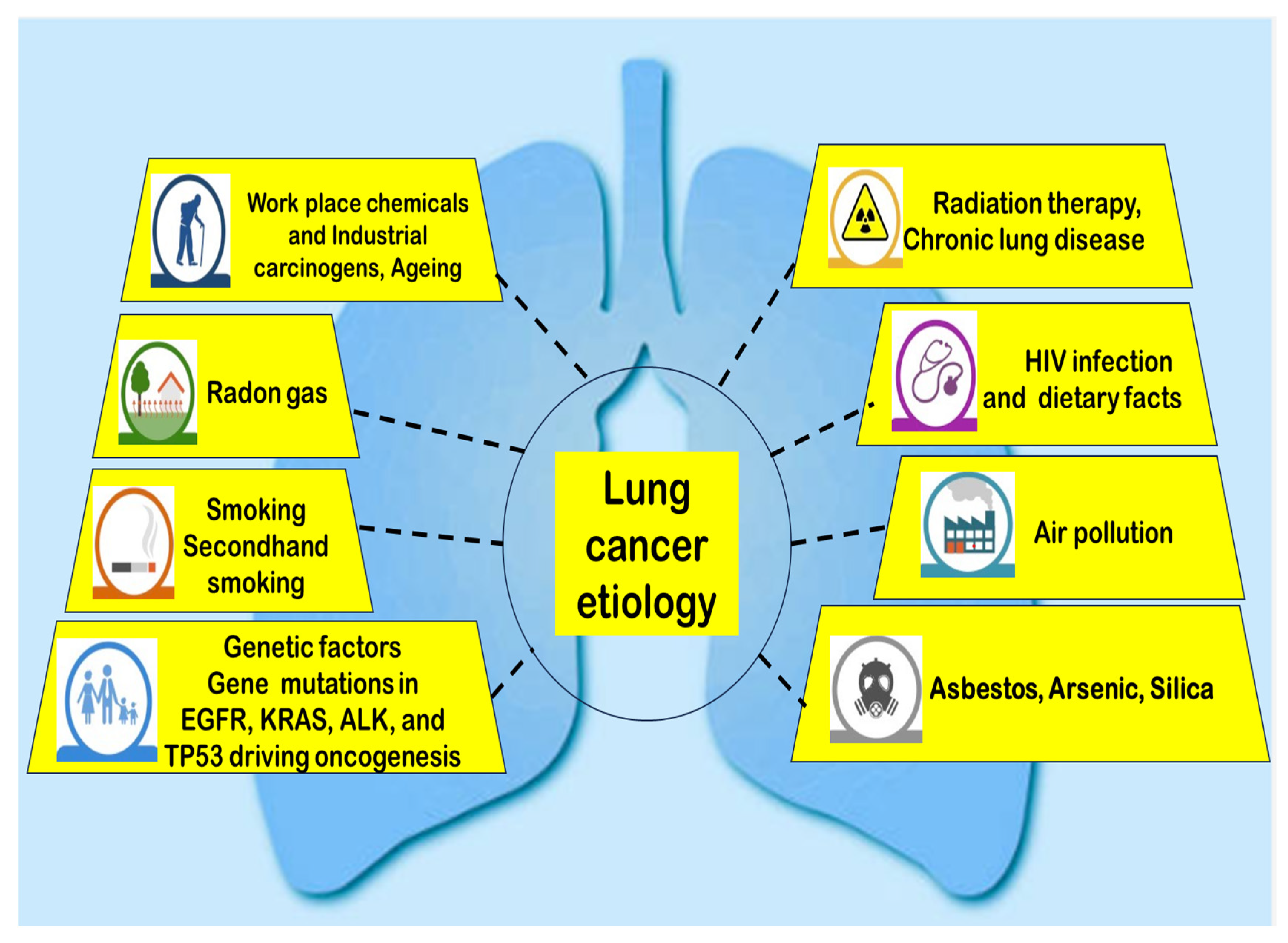 Pharmaceutics 17 01091 g002 Pharmaceutics 17 01091 g002