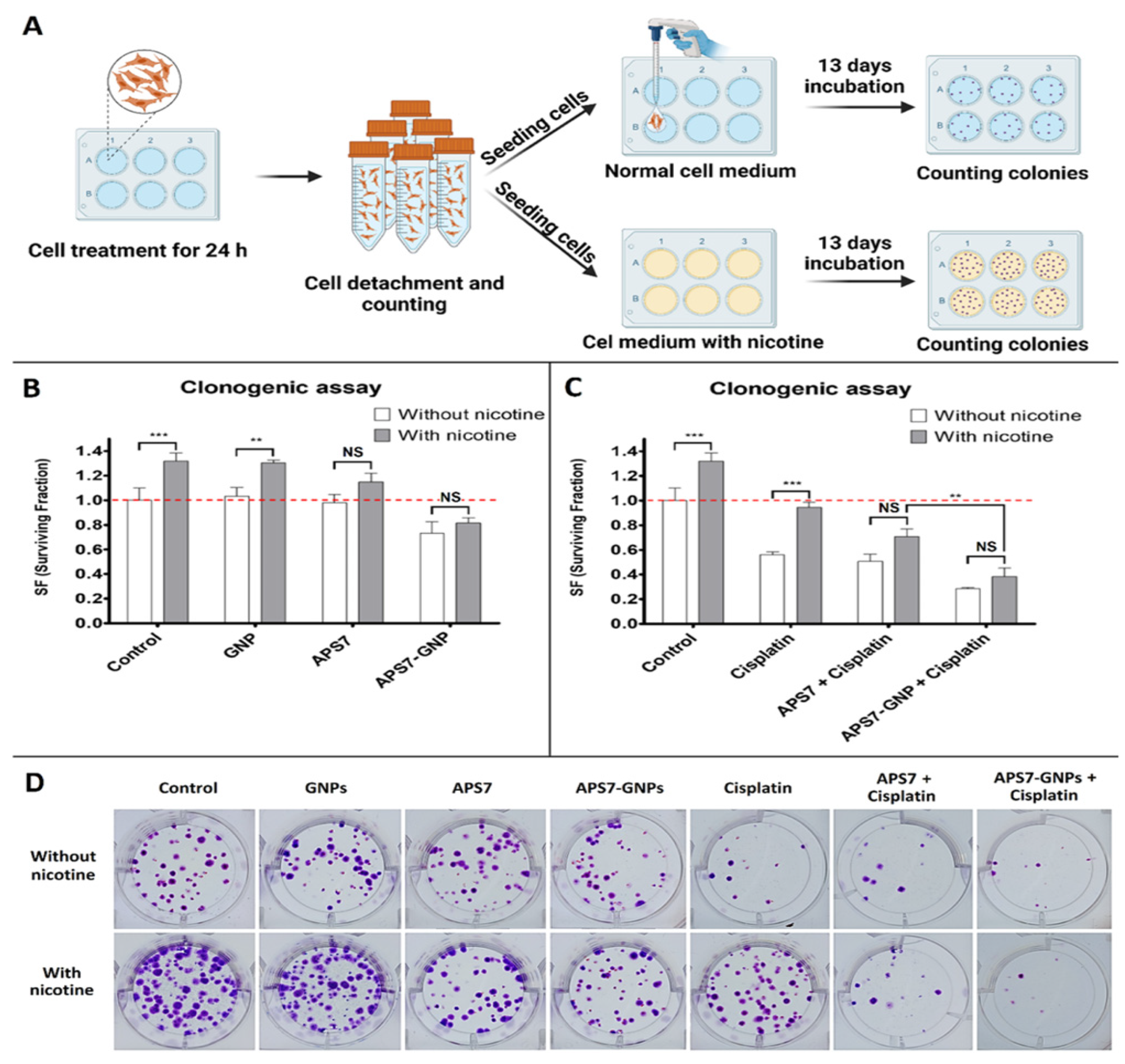 Pharmaceutics 17 01091 g003 Pharmaceutics 17 01091 g003