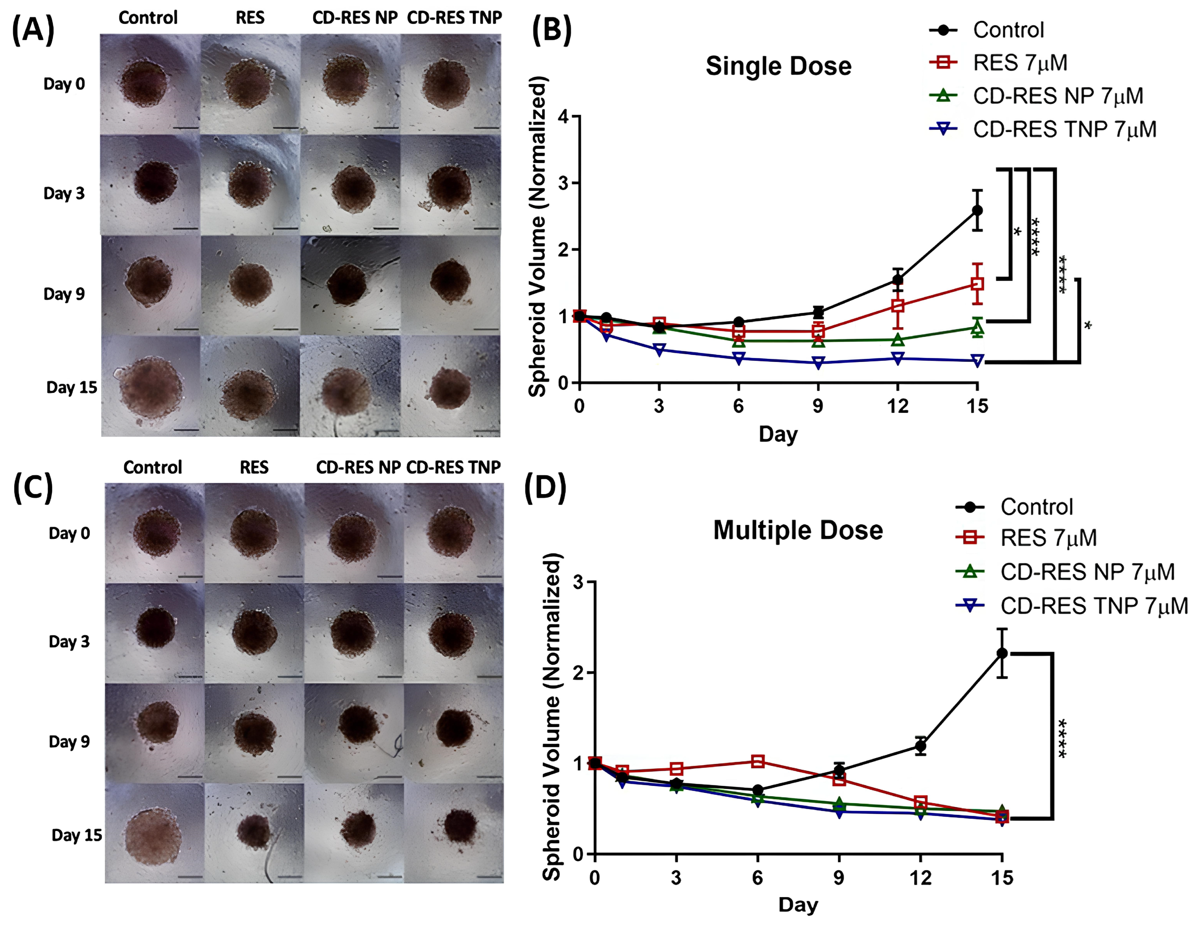 Pharmaceutics 17 01091 g004 Pharmaceutics 17 01091 g004