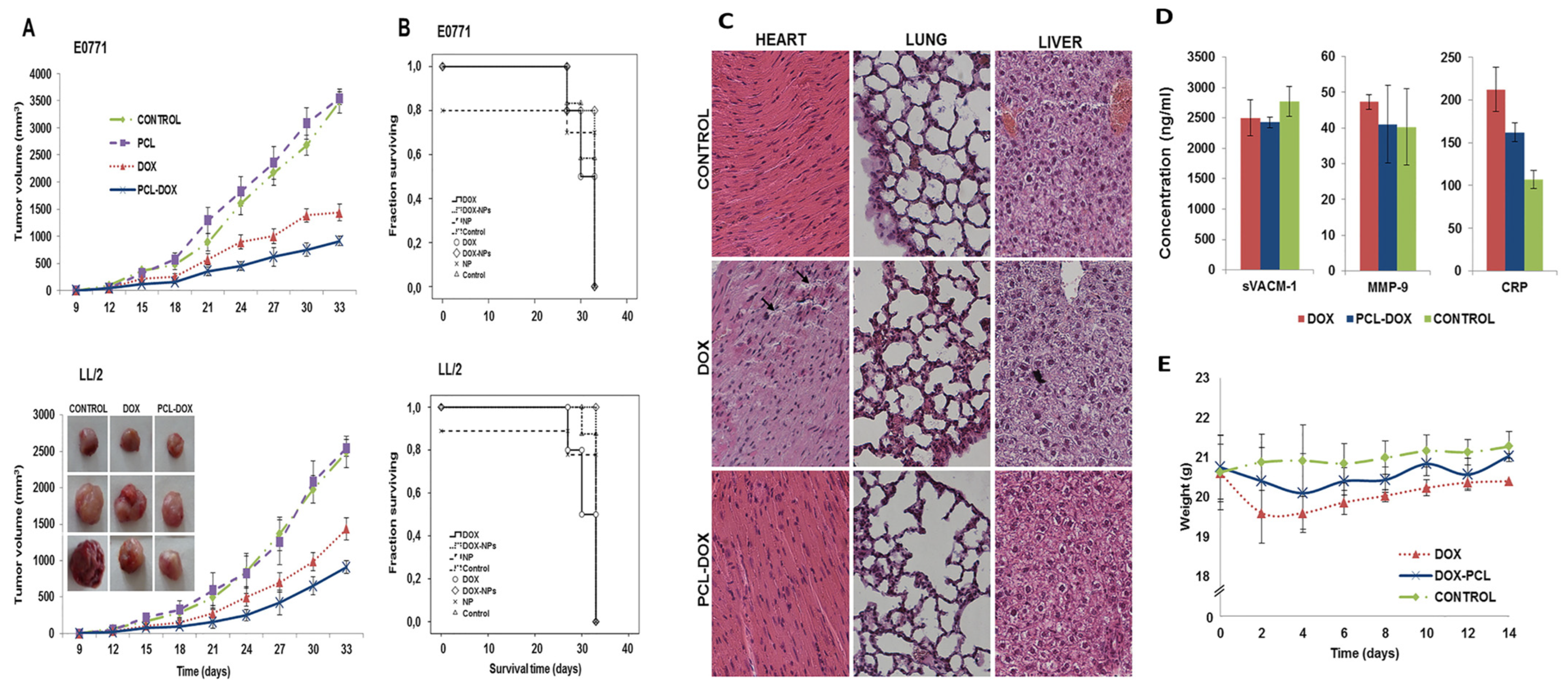 Pharmaceutics 17 01091 g005 Pharmaceutics 17 01091 g005