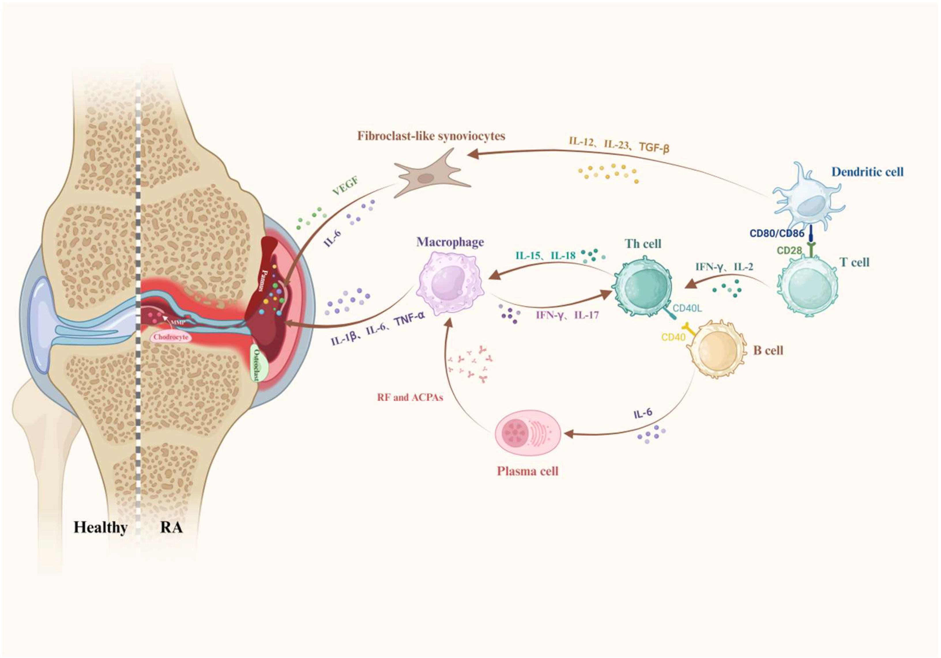 Pharmaceutics 17 01118 g001 Pharmaceutics 17 01118 g001