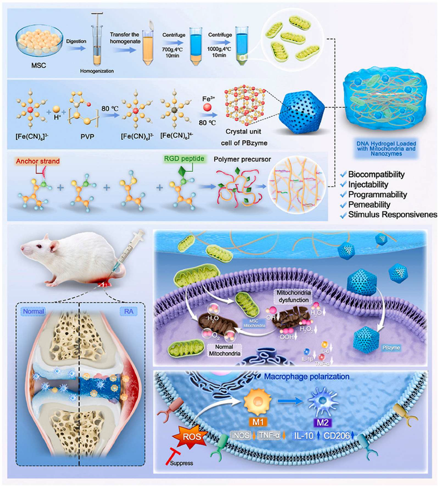 Pharmaceutics 17 01118 g005 Pharmaceutics 17 01118 g005