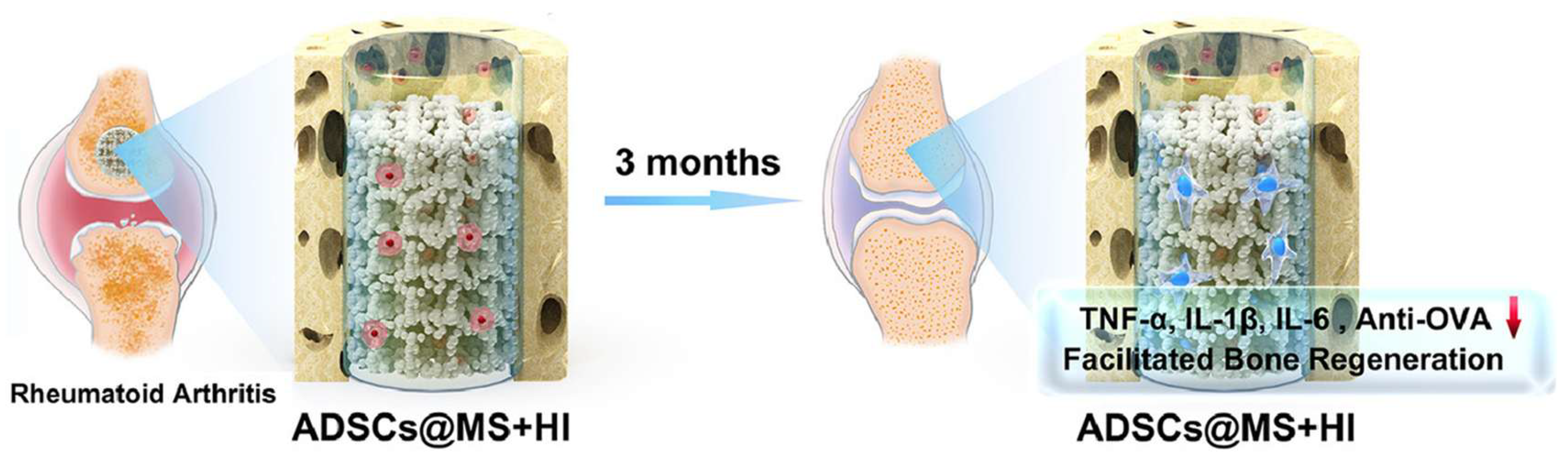 Pharmaceutics 17 01118 g009 Pharmaceutics 17 01118 g009
