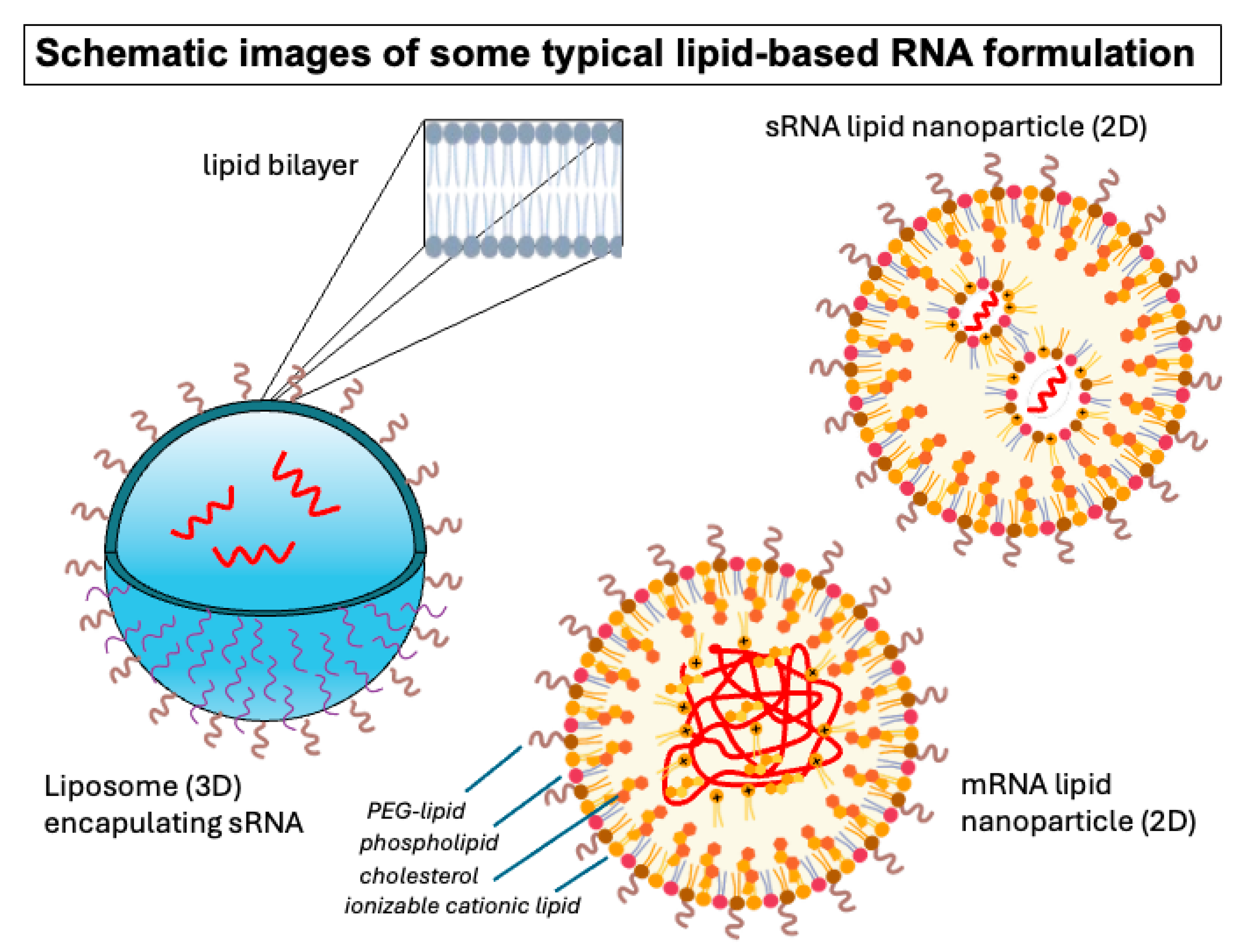 Pharmaceutics 17 01231 g002 Pharmaceutics 17 01231 g002