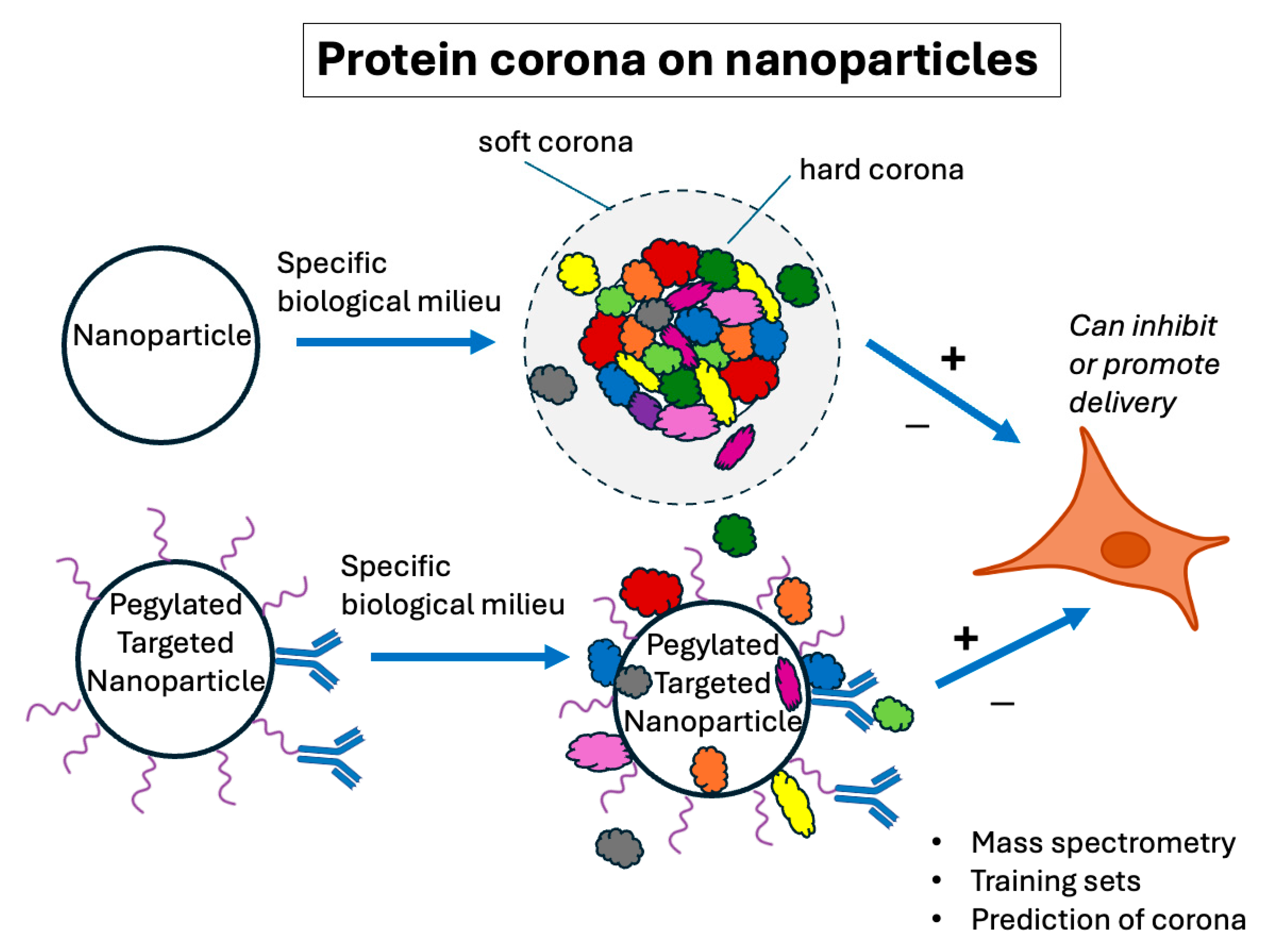 Pharmaceutics 17 01231 g004 Pharmaceutics 17 01231 g004