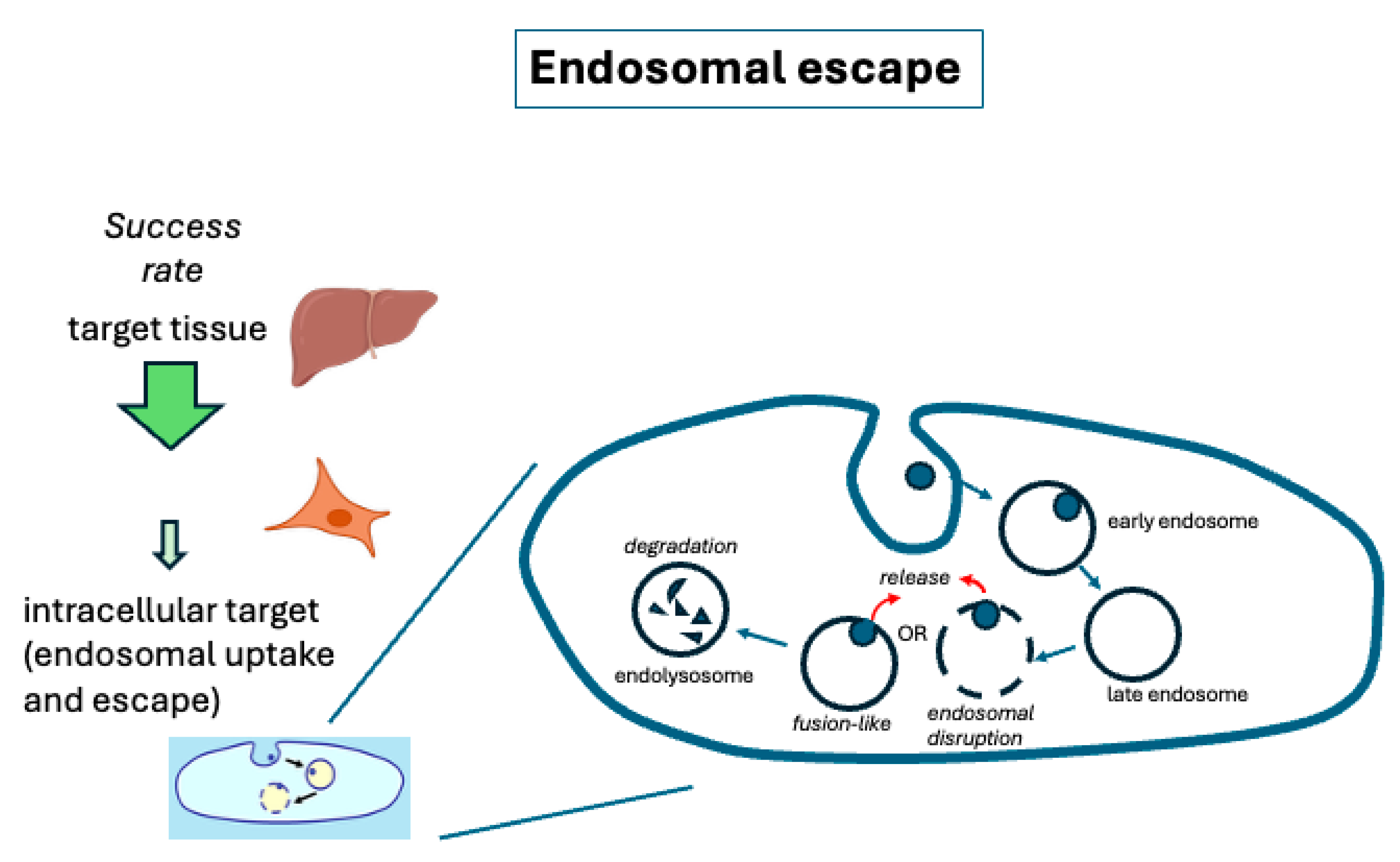 Pharmaceutics 17 01231 g005 Pharmaceutics 17 01231 g005