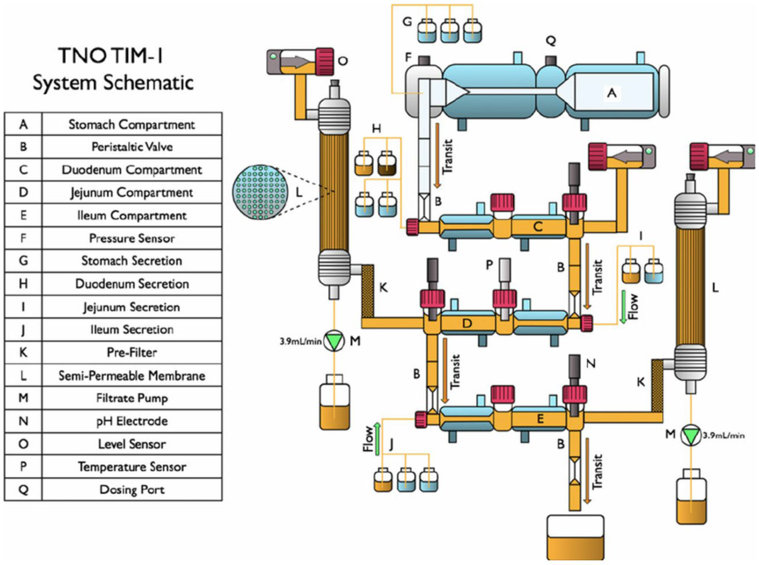 Pharmaceutics 17 01310 g008 Pharmaceutics 17 01310 g008