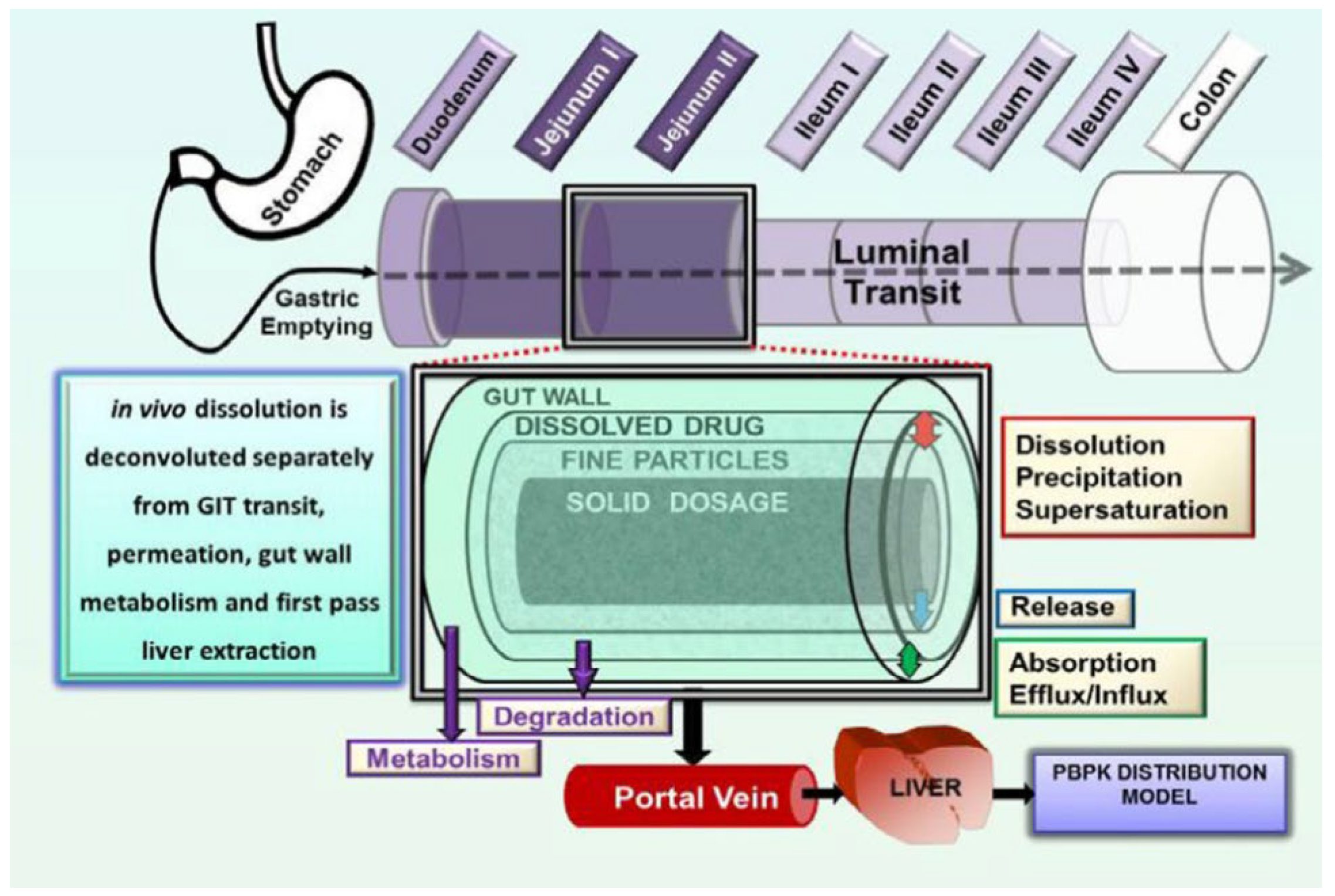 Pharmaceutics 17 01310 g011 Pharmaceutics 17 01310 g011