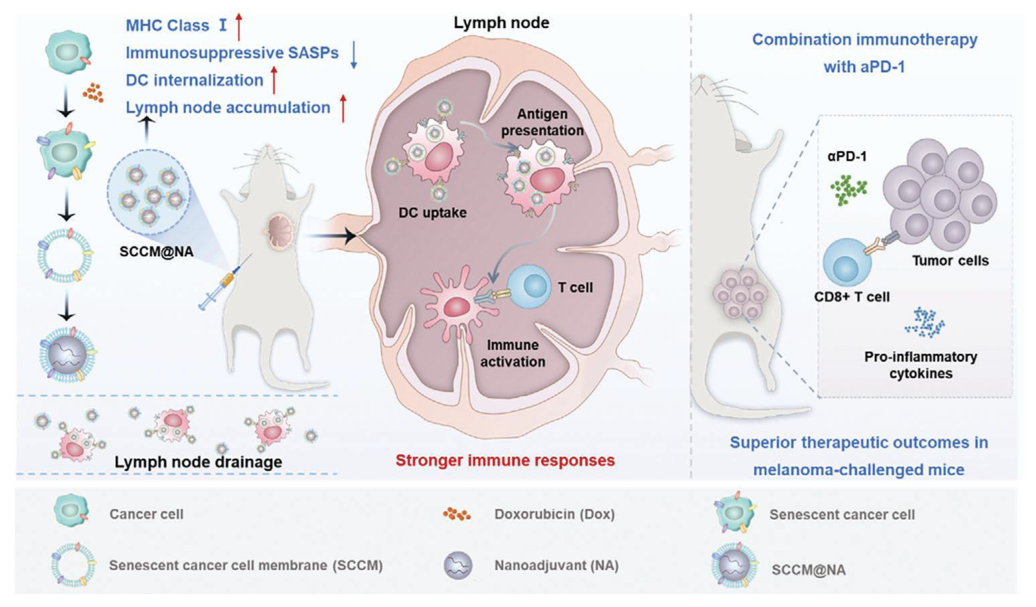 Pharmaceutics 17 01322 g001 Pharmaceutics 17 01322 g001