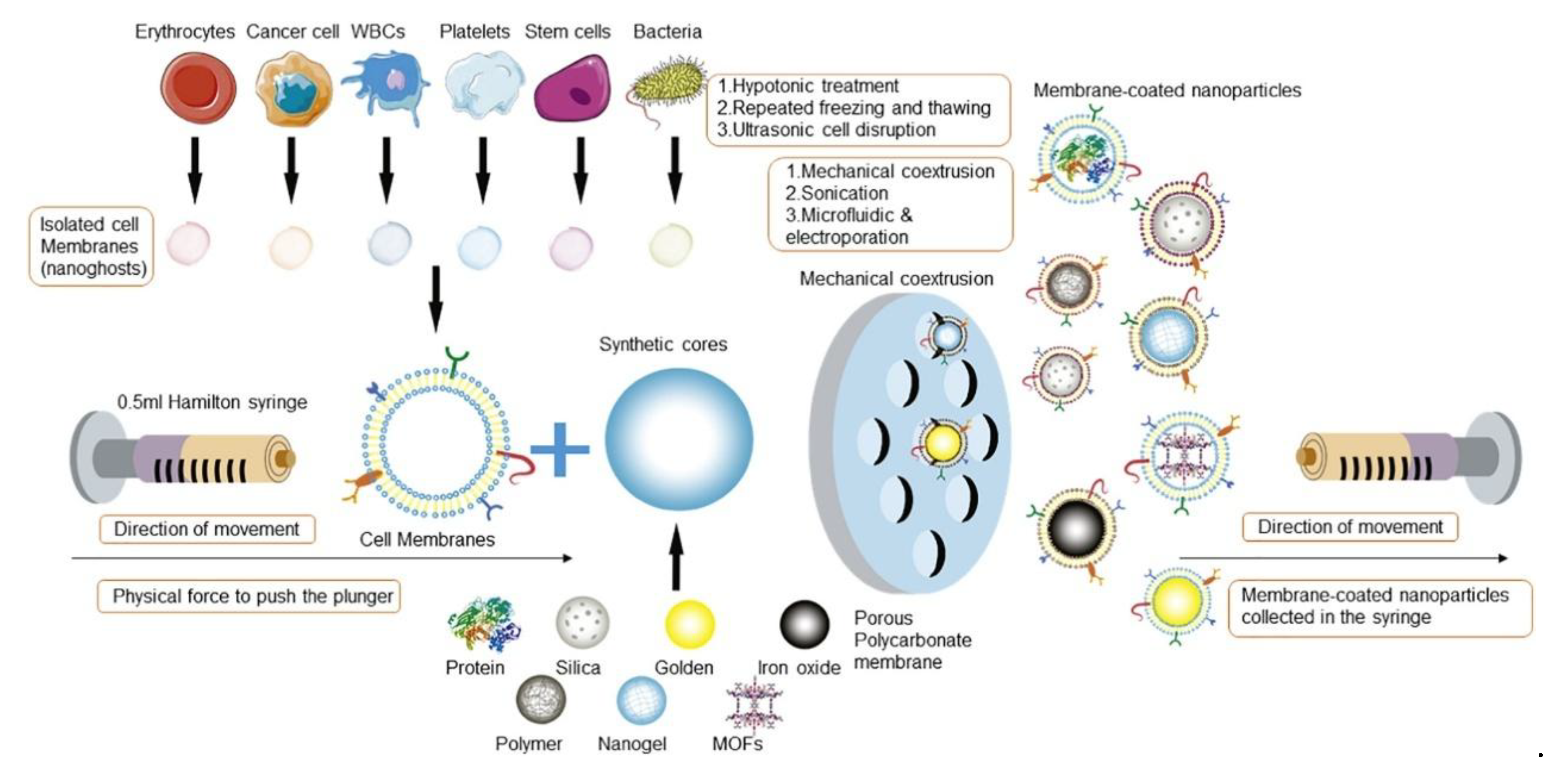 Pharmaceutics 17 01322 g002 Pharmaceutics 17 01322 g002