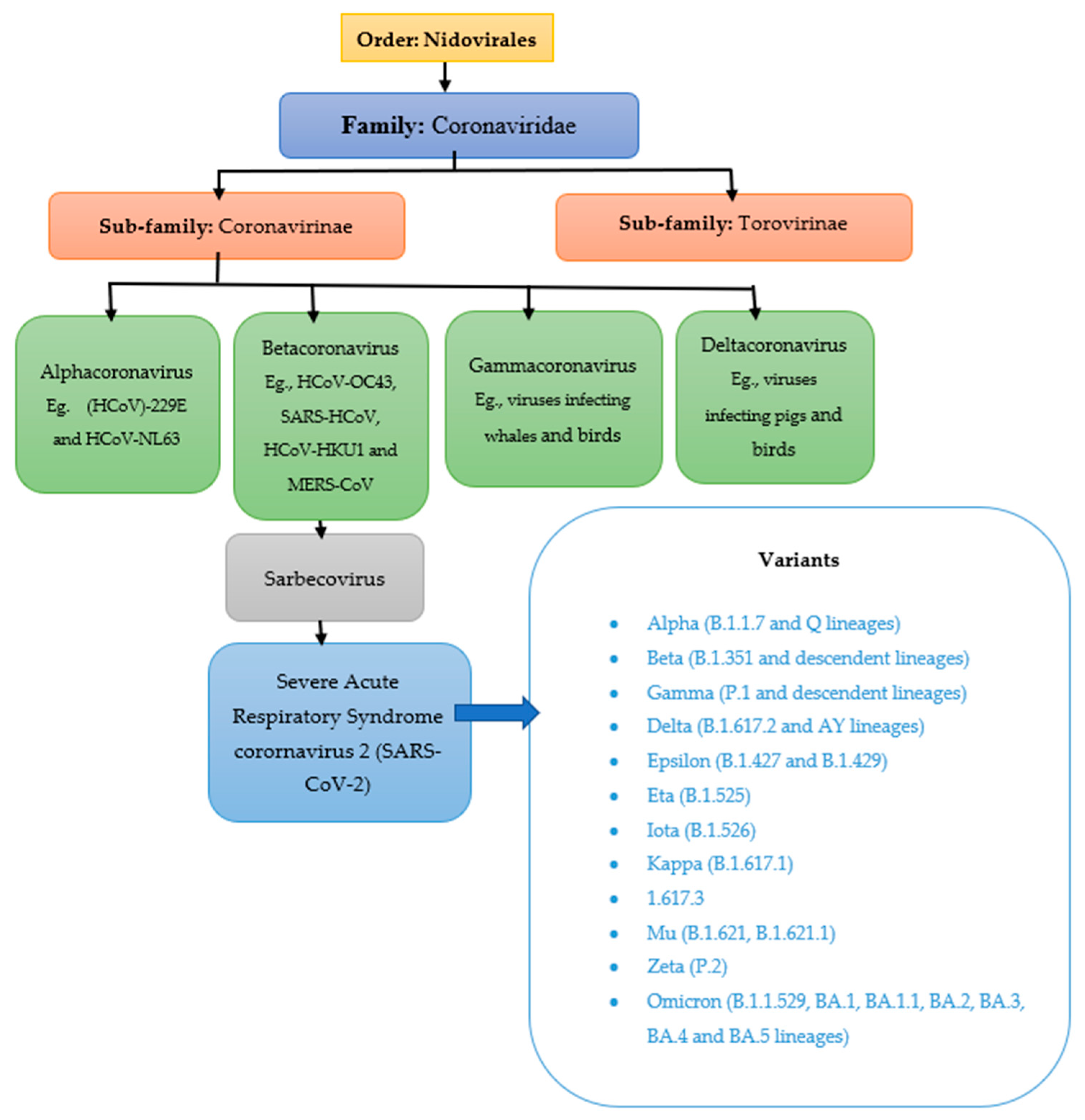 Pharmacoepidemiology, Free Full-Text