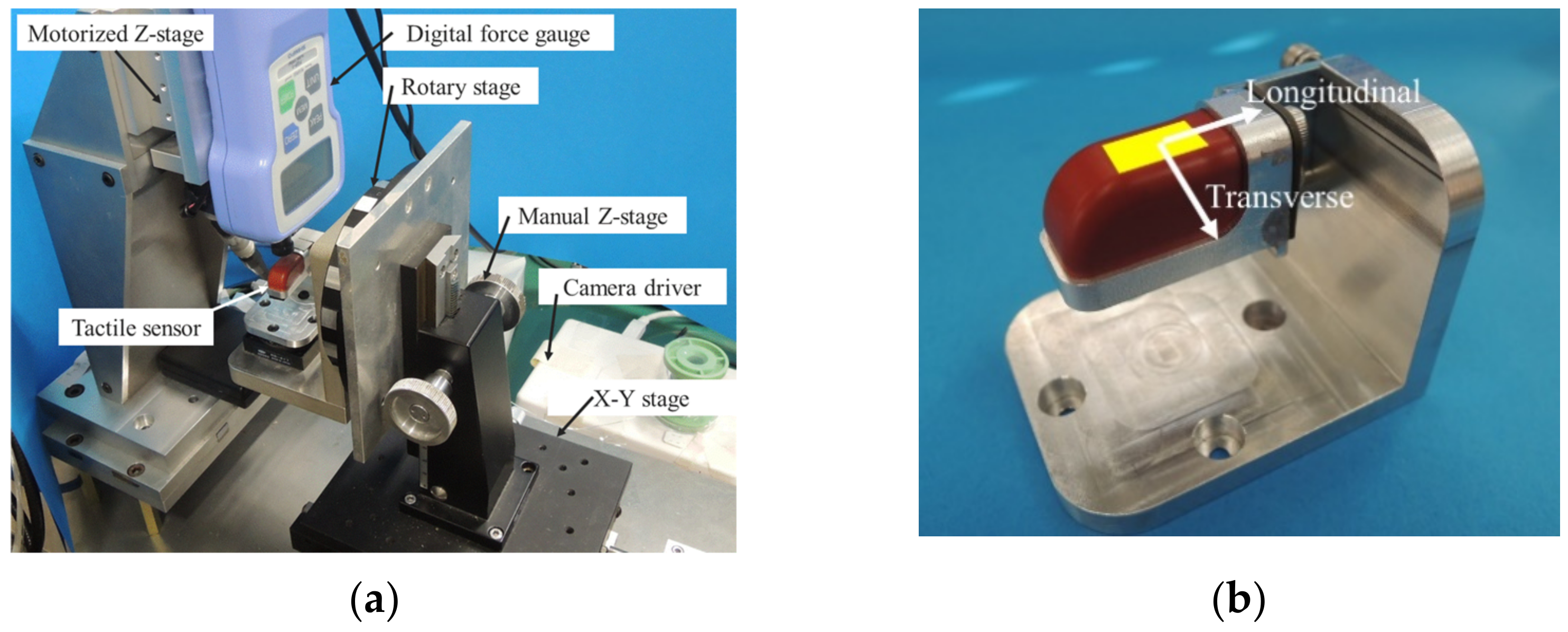 Philosophies 06 00054 g008 Philosophies 06 00054 g008