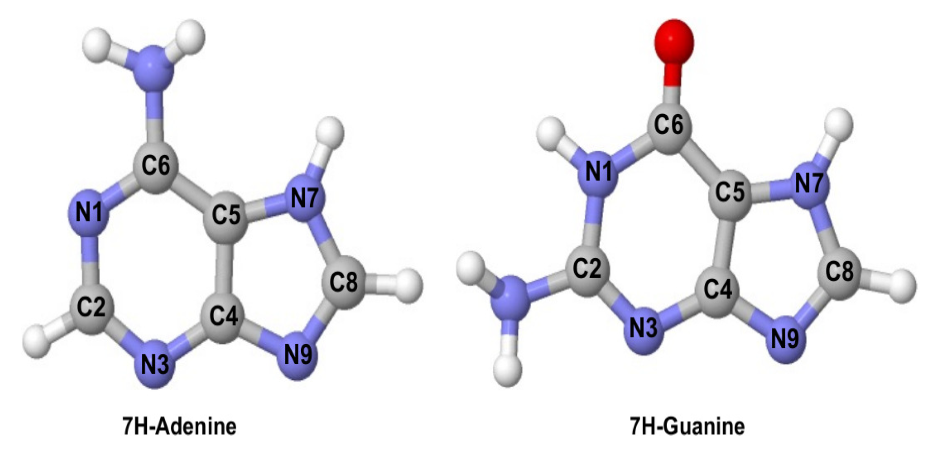 Photochem 01 00018 g001
