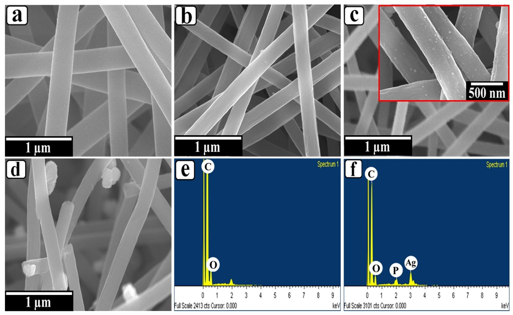 Photochem 01 00022 g002