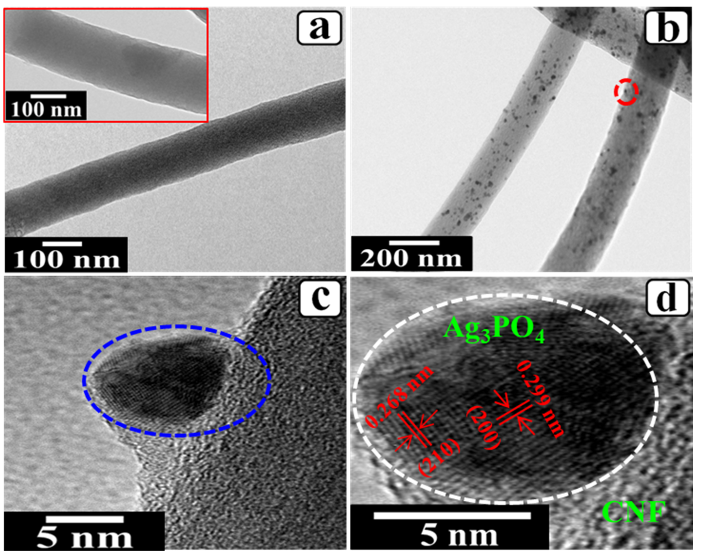 Photochem 01 00022 g005
