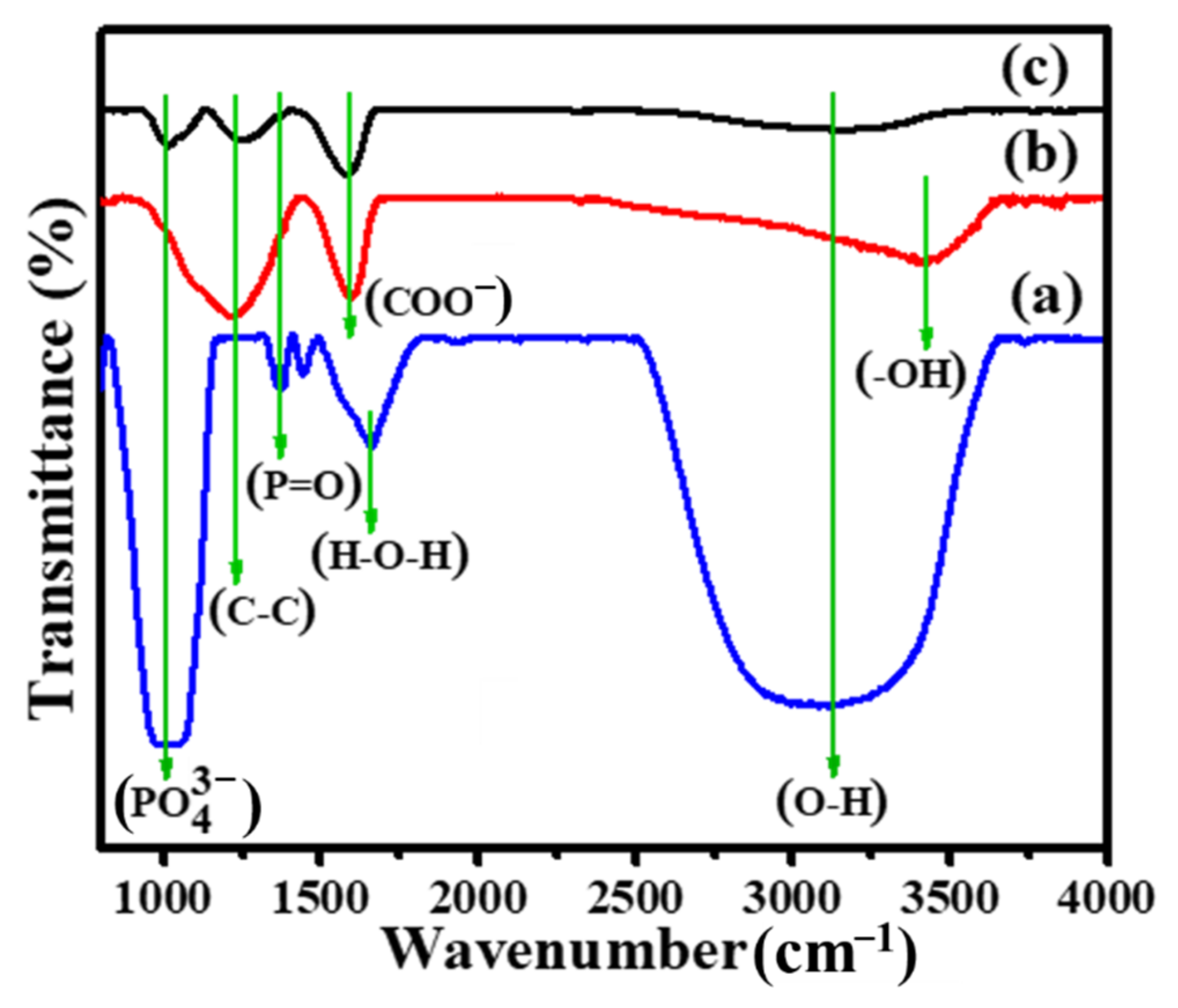 Photochem 01 00022 g006