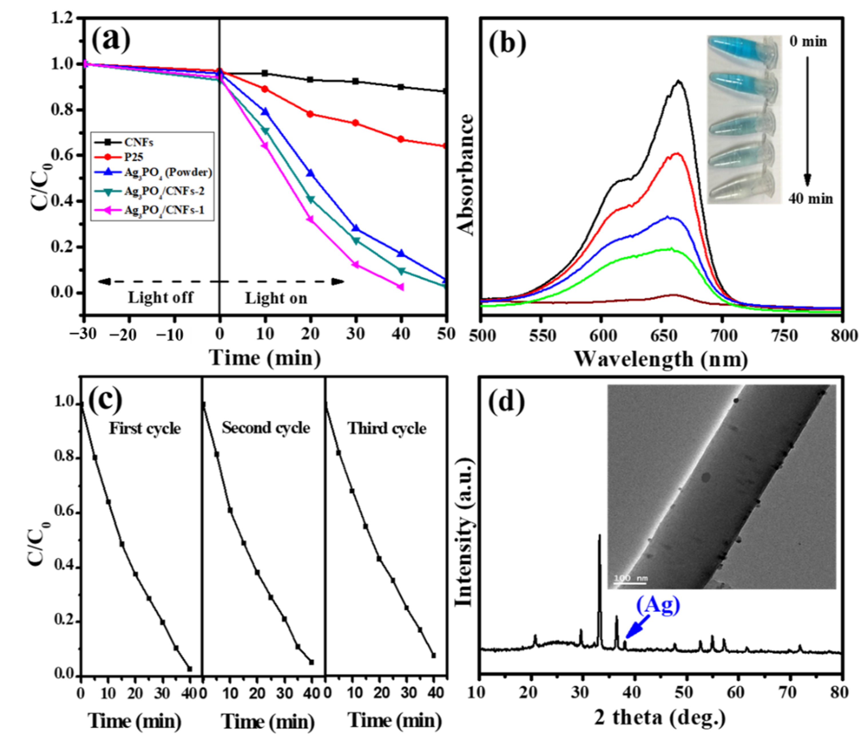 Photochem 01 00022 g008
