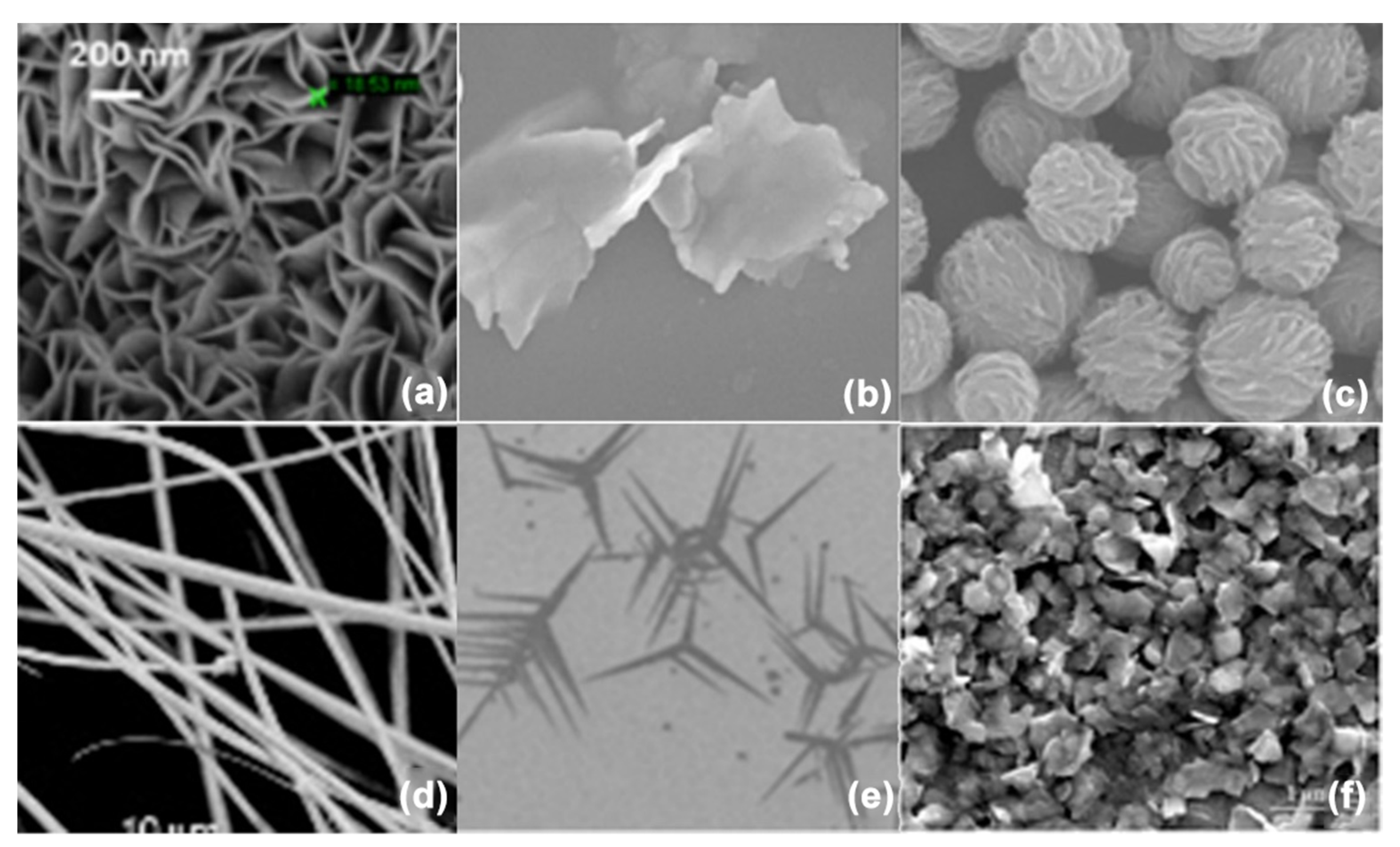 Photochem 02 00042 g010