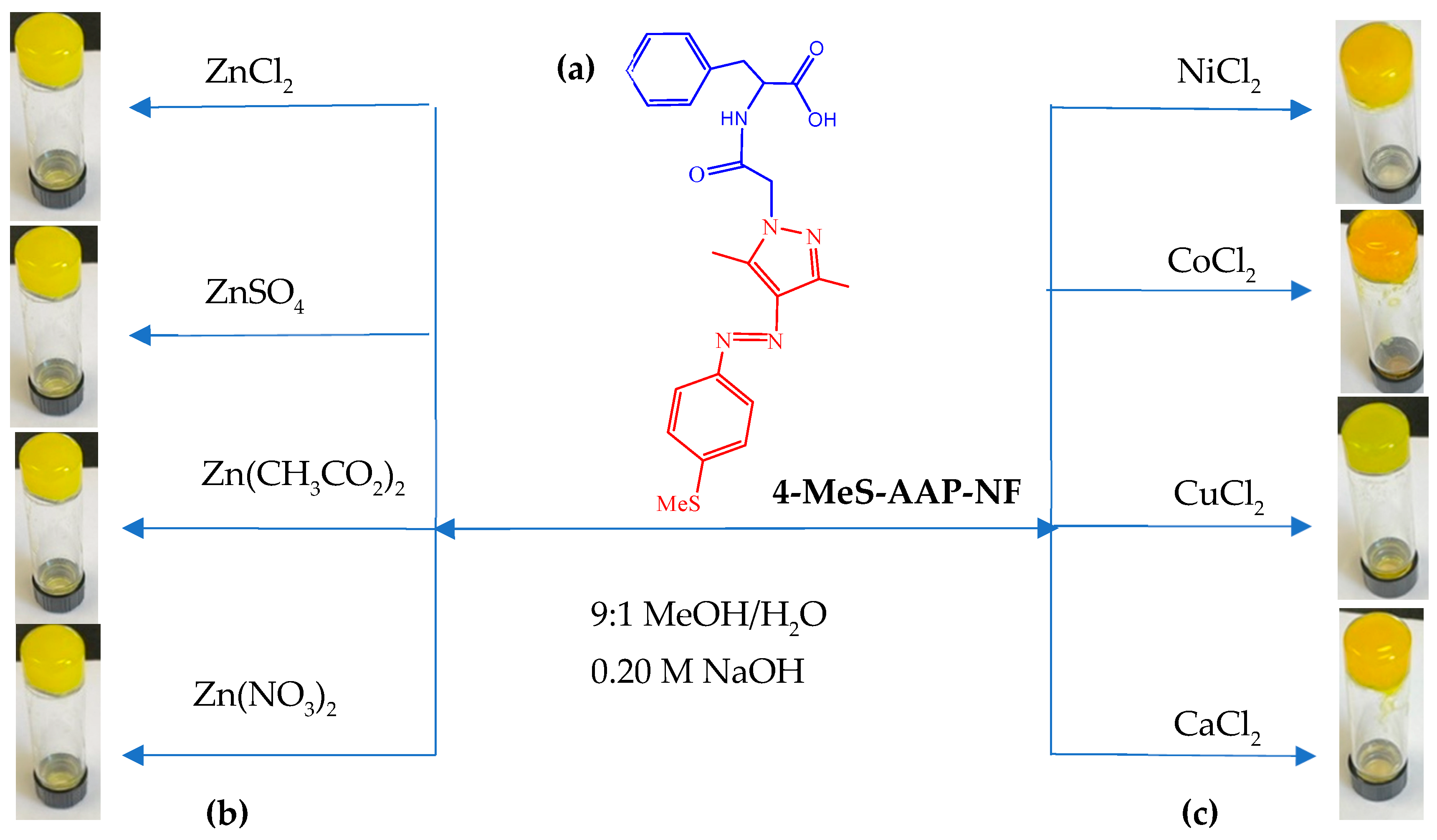 Photochem 03 00026 g002
