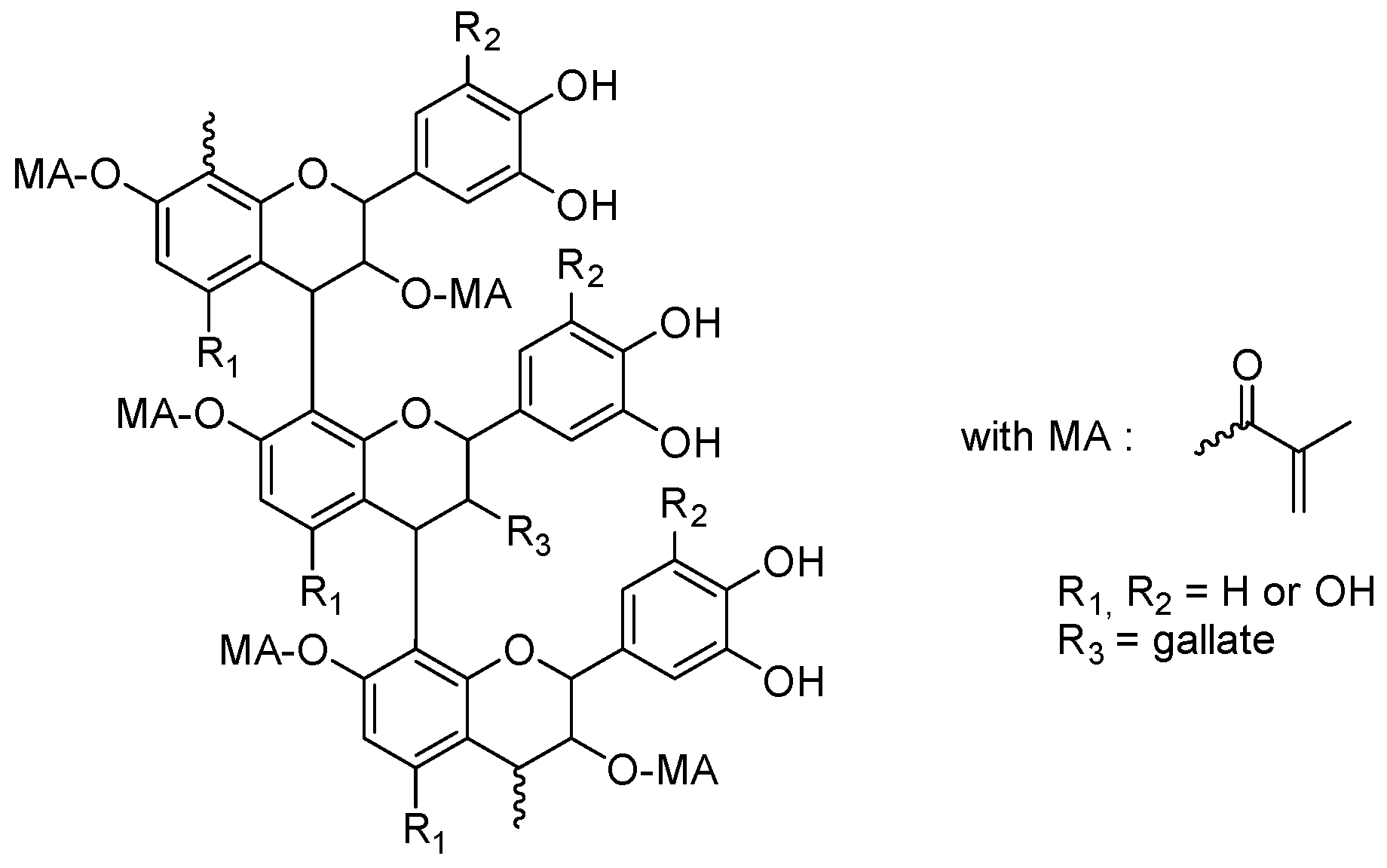 Photochem 03 00030 g030